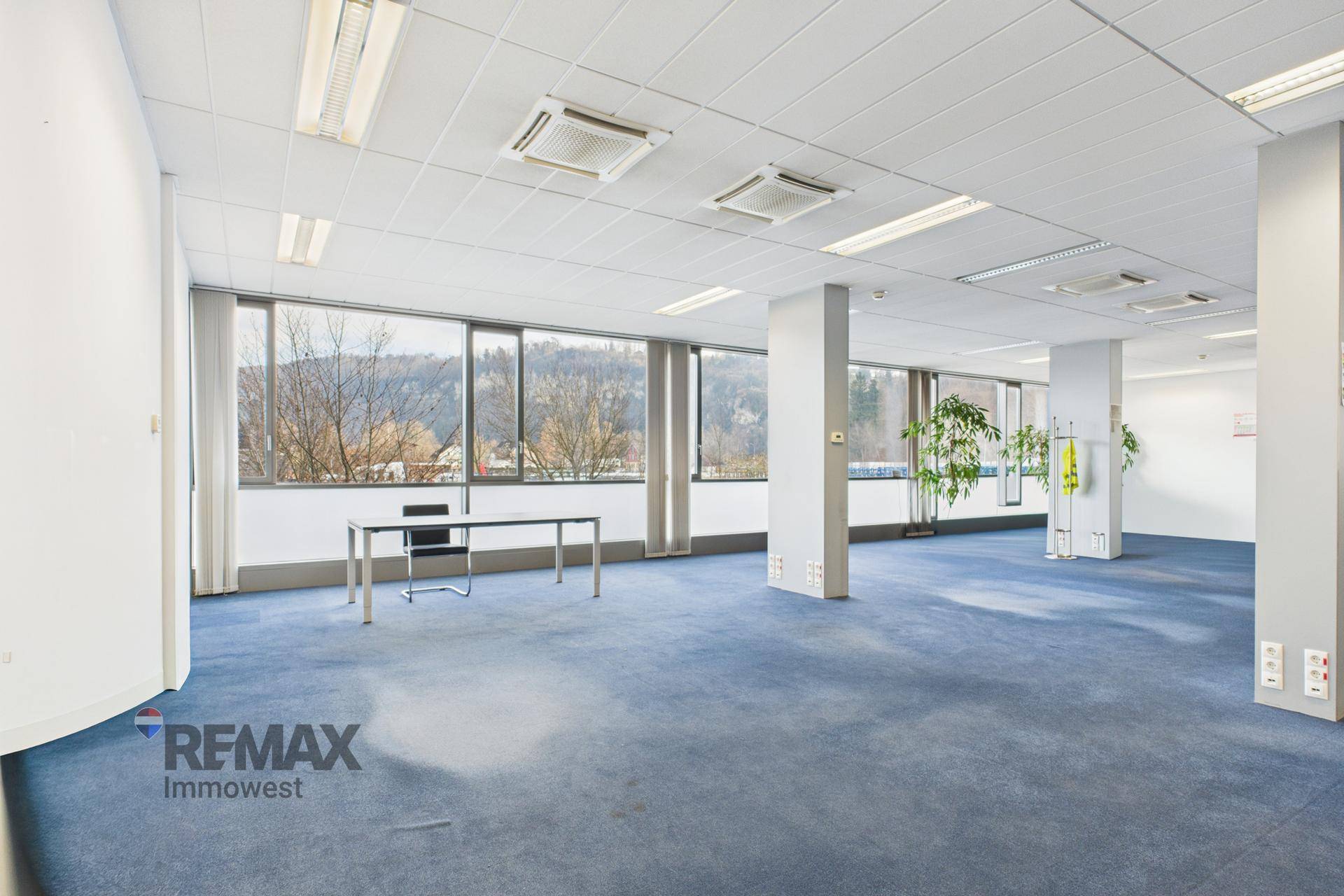 Großes, leeres Büro mit blauem Teppichboden, vielen Fenstern und Klimaanlage.