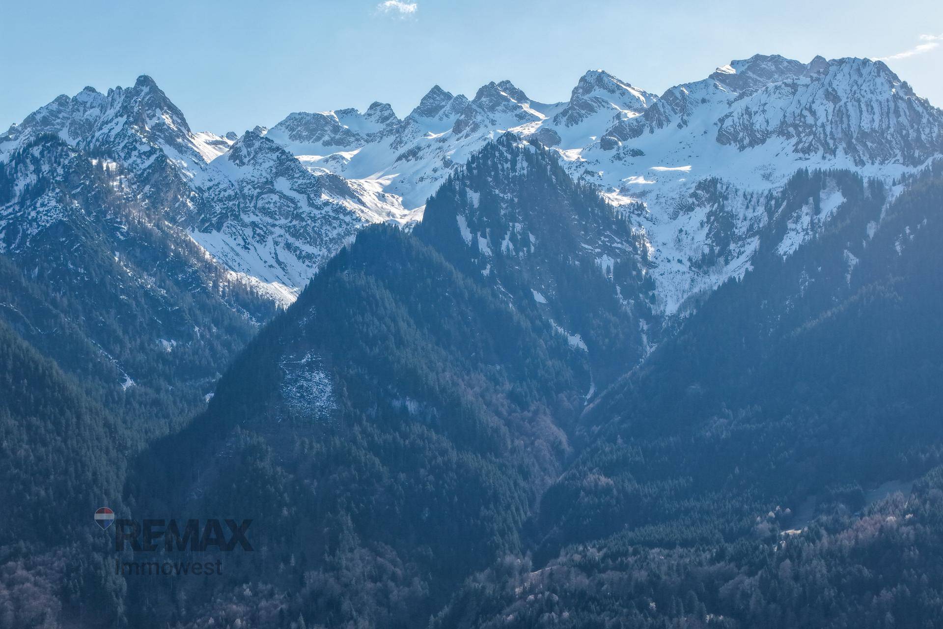 Detailaufnahme der schneebedeckten Berggipfel und bewaldeten Hänge mit klarer Sicht.