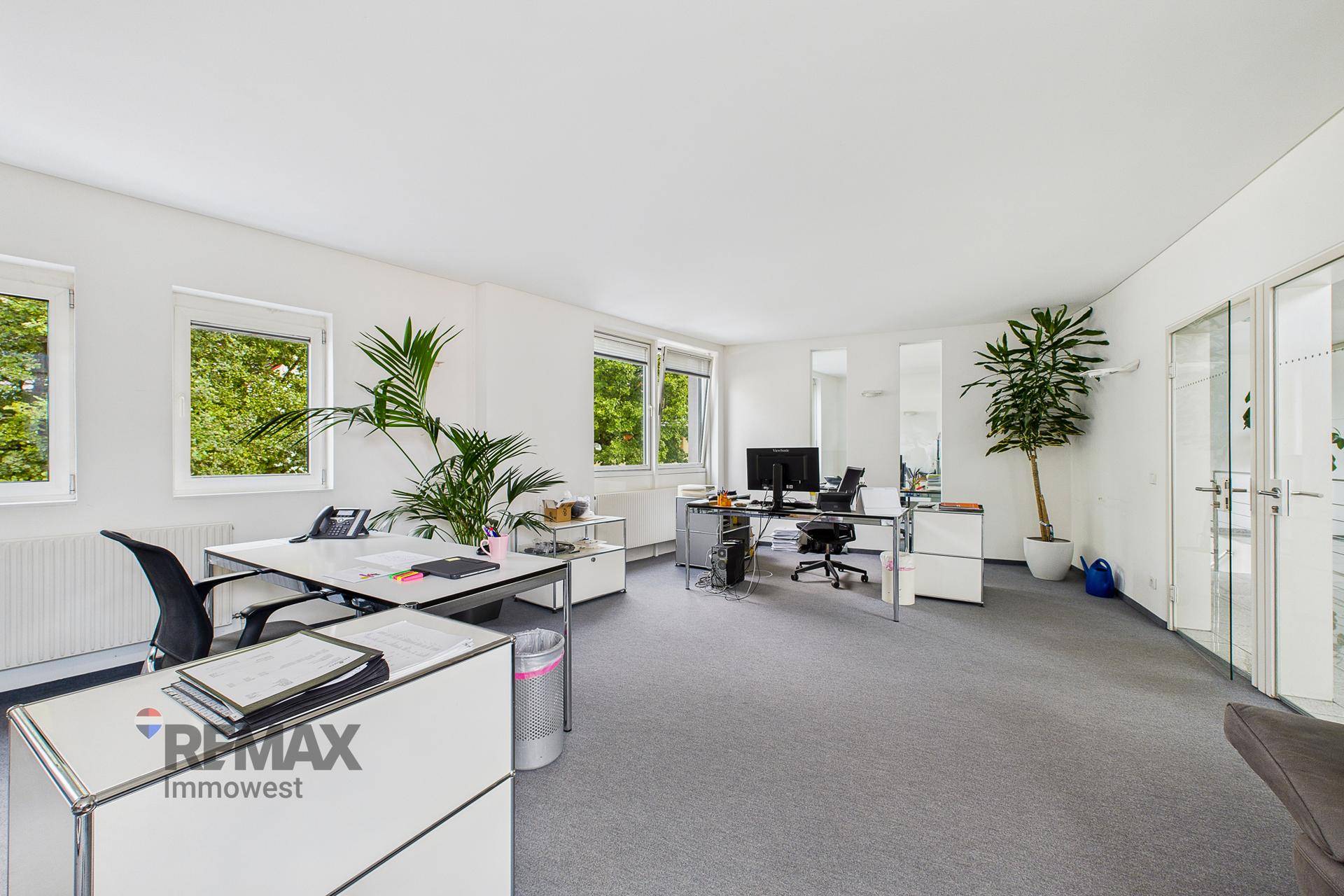 Großes, helles Büro mit mehreren Arbeitsplätzen, Teppichboden und Fenstern mit Blick ins Grüne.