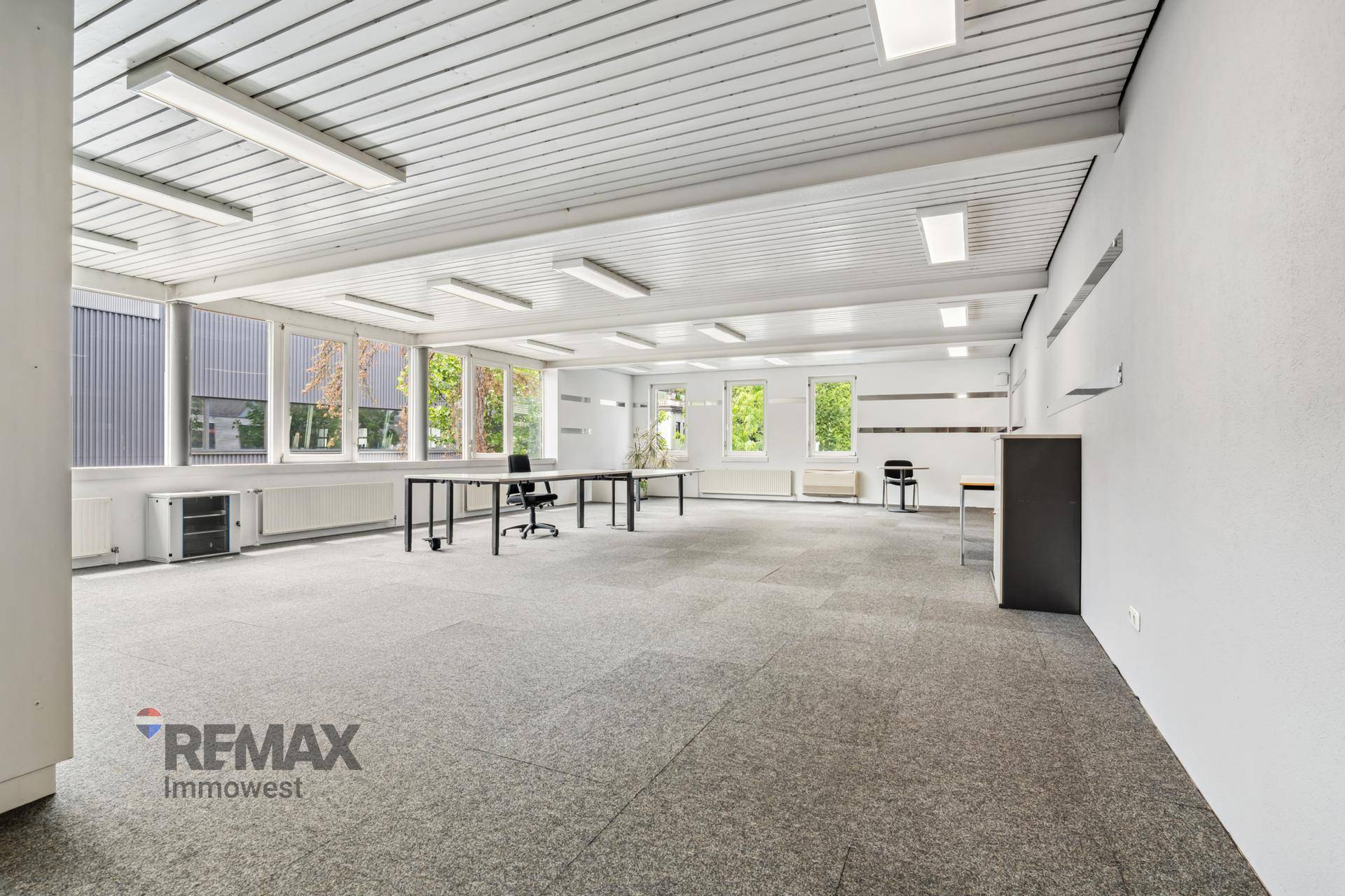 Großes, offenes Büro mit mehreren Arbeitsplätzen, Teppichboden und viel natürlichem Licht.