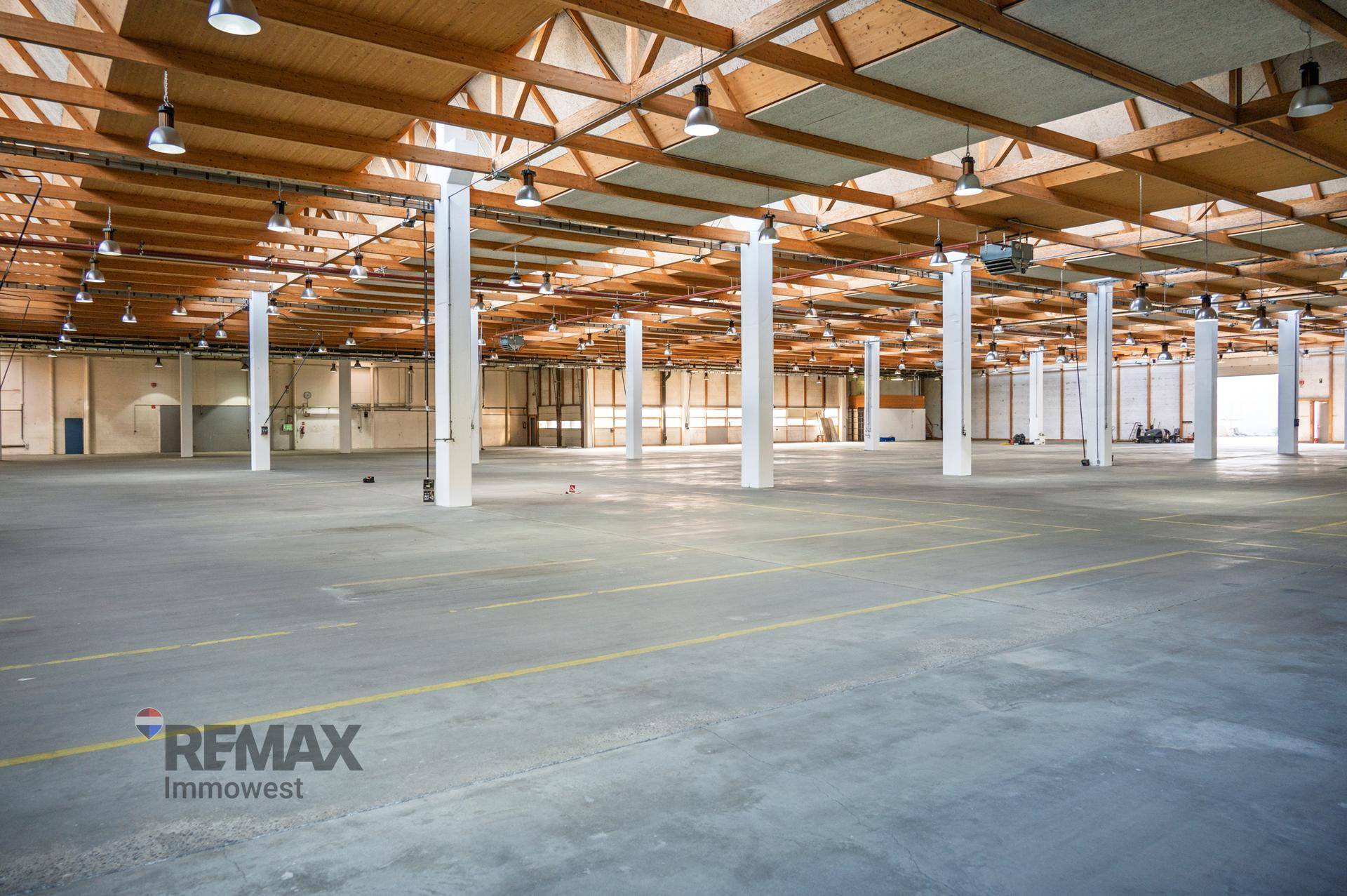 Geräumige Lagerhalle mit hoher Holzbalkendecke, Betonboden und vielen Stützpfeilern.