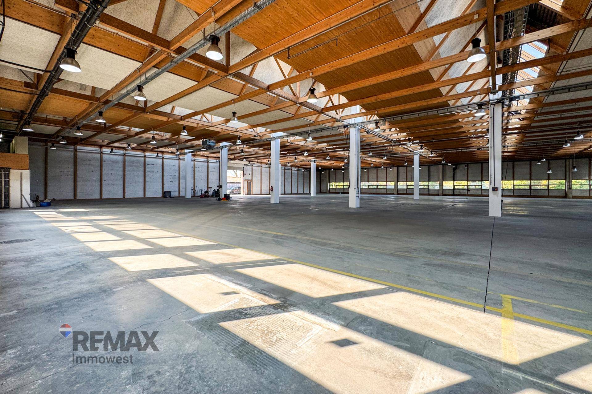 Helle Lagerhalle mit Betonboden und Holzbalkendecke, durchflutet von natürlichem Licht durch Oberlichter.