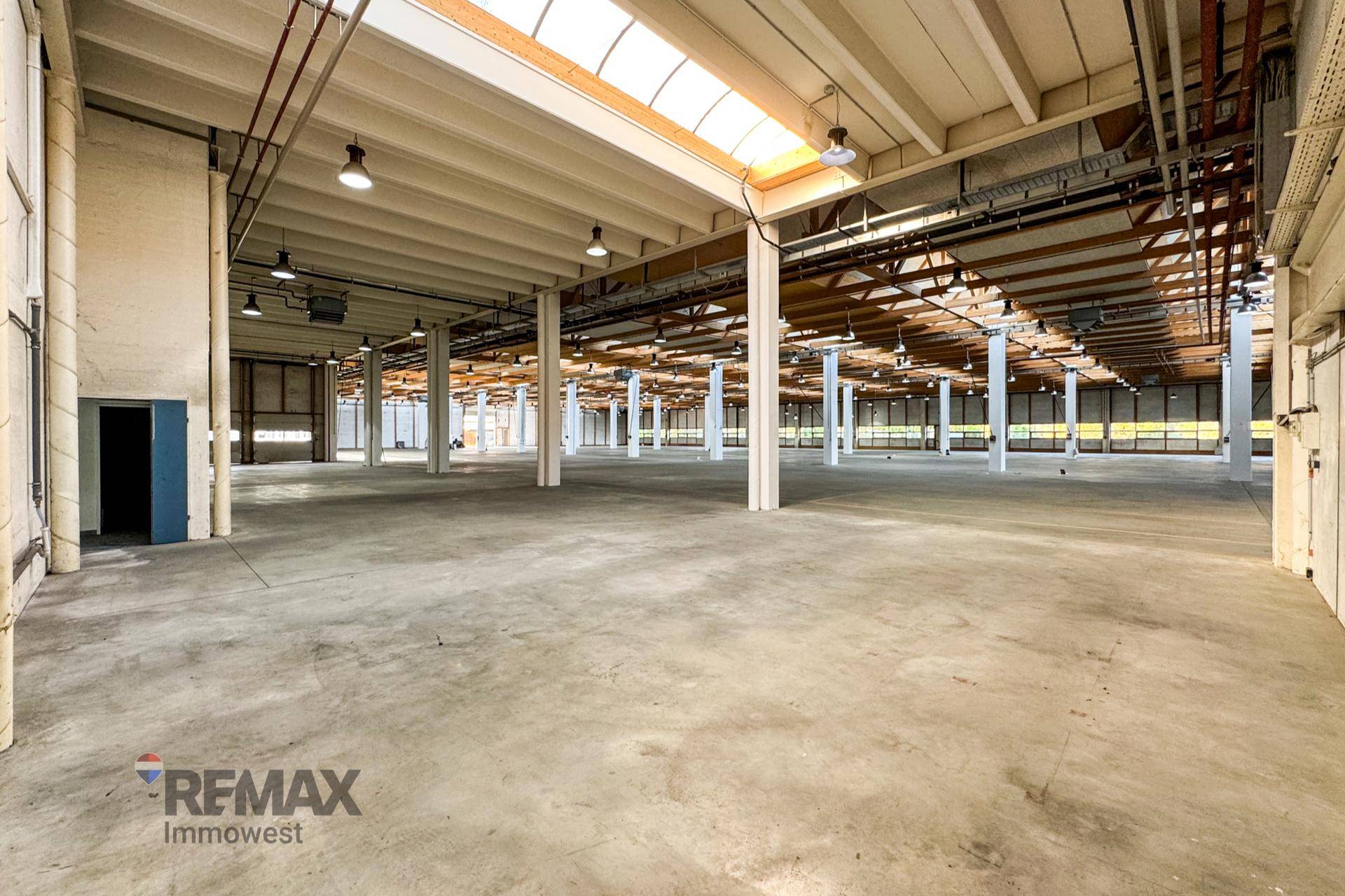 Große, helle Lagerhalle mit Betonboden, Holzbalkendecke und Oberlichtern für optimale Beleuchtung.