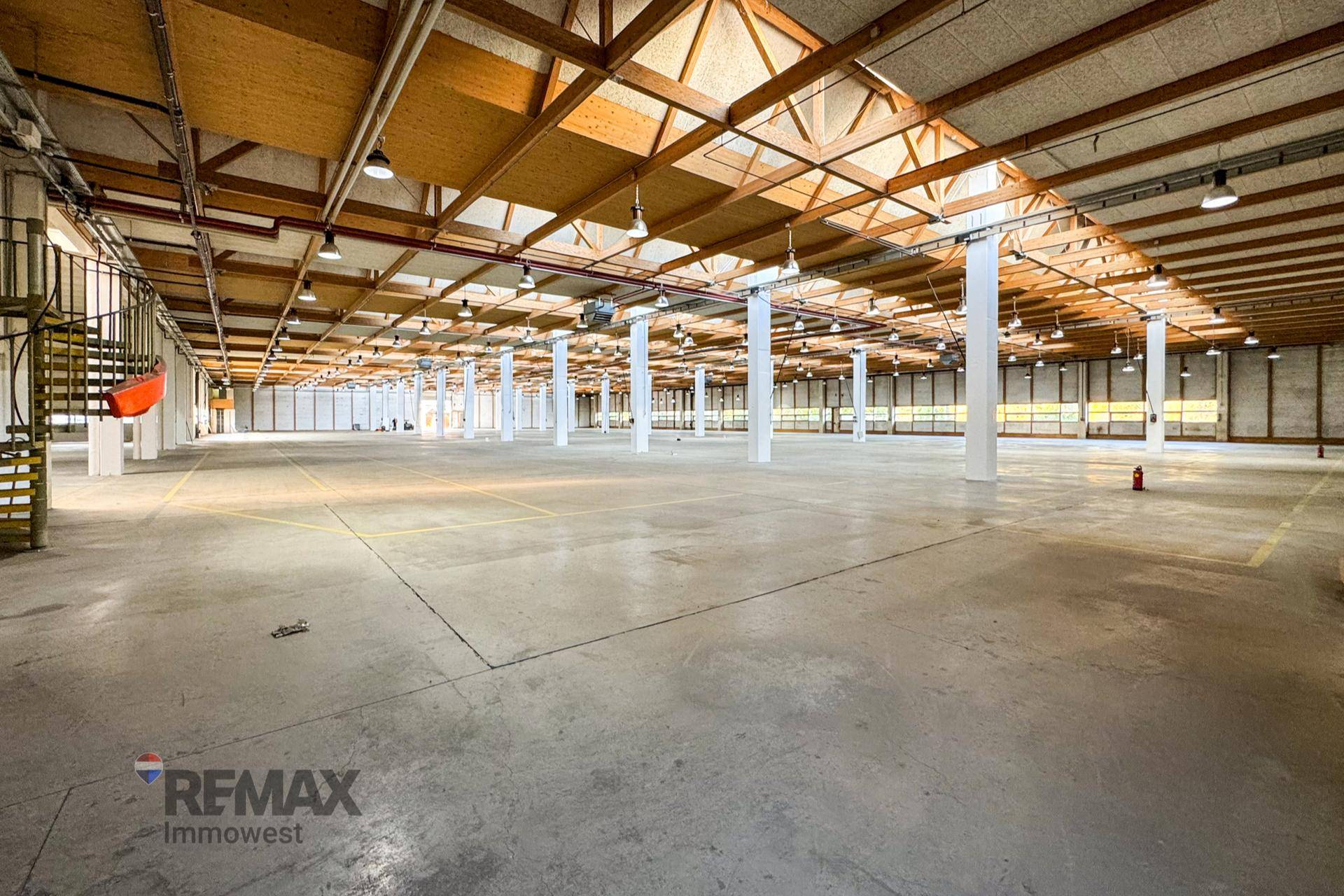 Geräumige Lagerhalle mit Betonboden, Holzbalkendecke und vielen Stützpfeilern, bereit zur Nutzung.