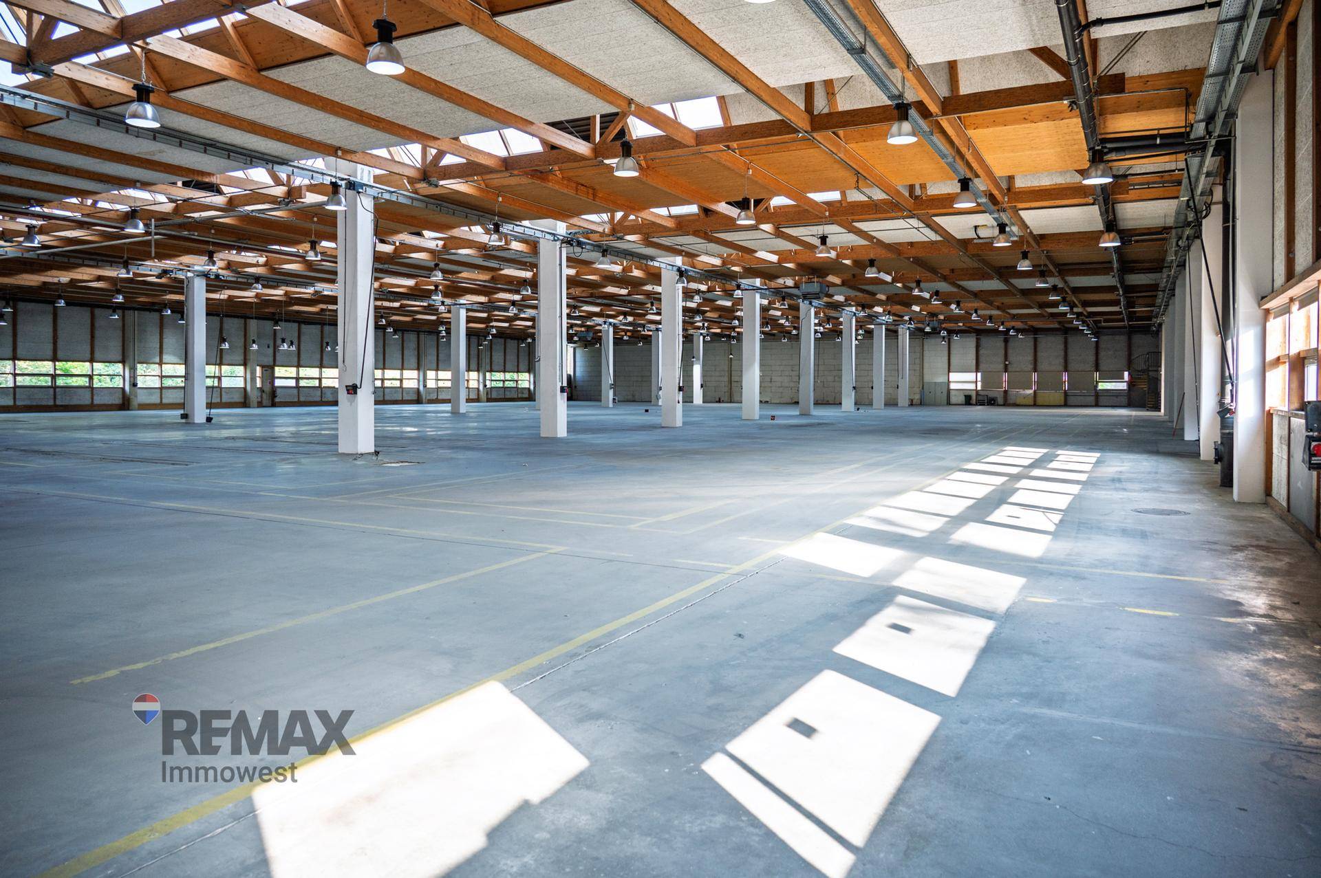 Große, leere Lagerhalle mit Betonboden, vielen Säulen und einer Holzdeckenkonstruktion, gut beleuchtet.