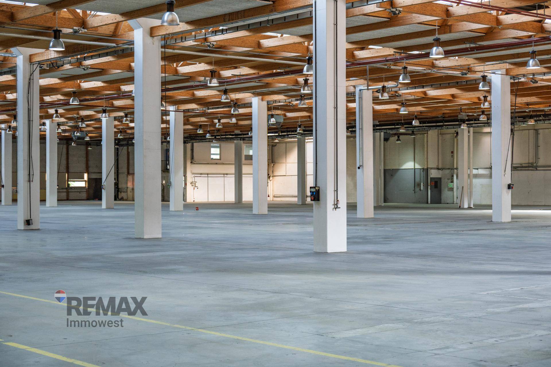 Weitläufige Lagerhalle mit Betonboden, Holzbalkendecke und vielen Stützpfeilern, ideal für Logistik.