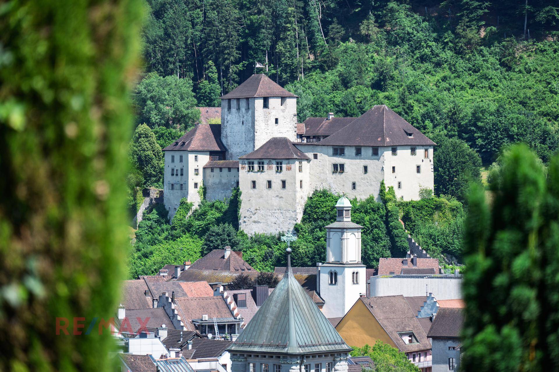 Historisches Schloss auf einem Hügel, umgeben von dichtem Wald und alten Gebäuden.
