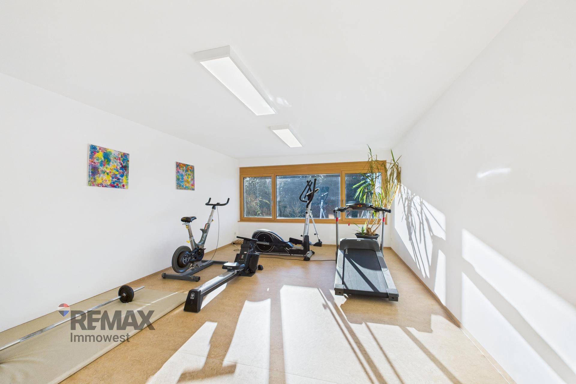 Fitnessraum mit verschiedenen Trainingsgeräten, Holzboden und großen Fenstern für natürliches Licht.