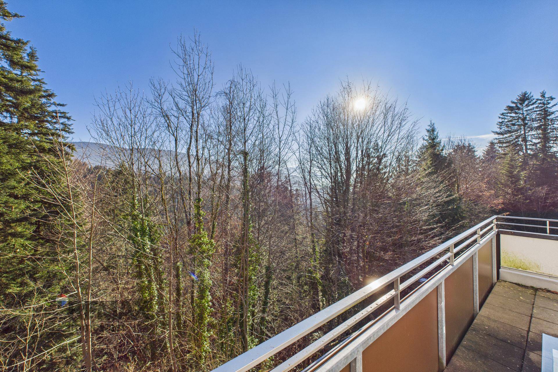 Geräumige Terrasse mit Panoramablick auf die grüne Natur und die umliegenden Bäume an einem sonnigen Tag.