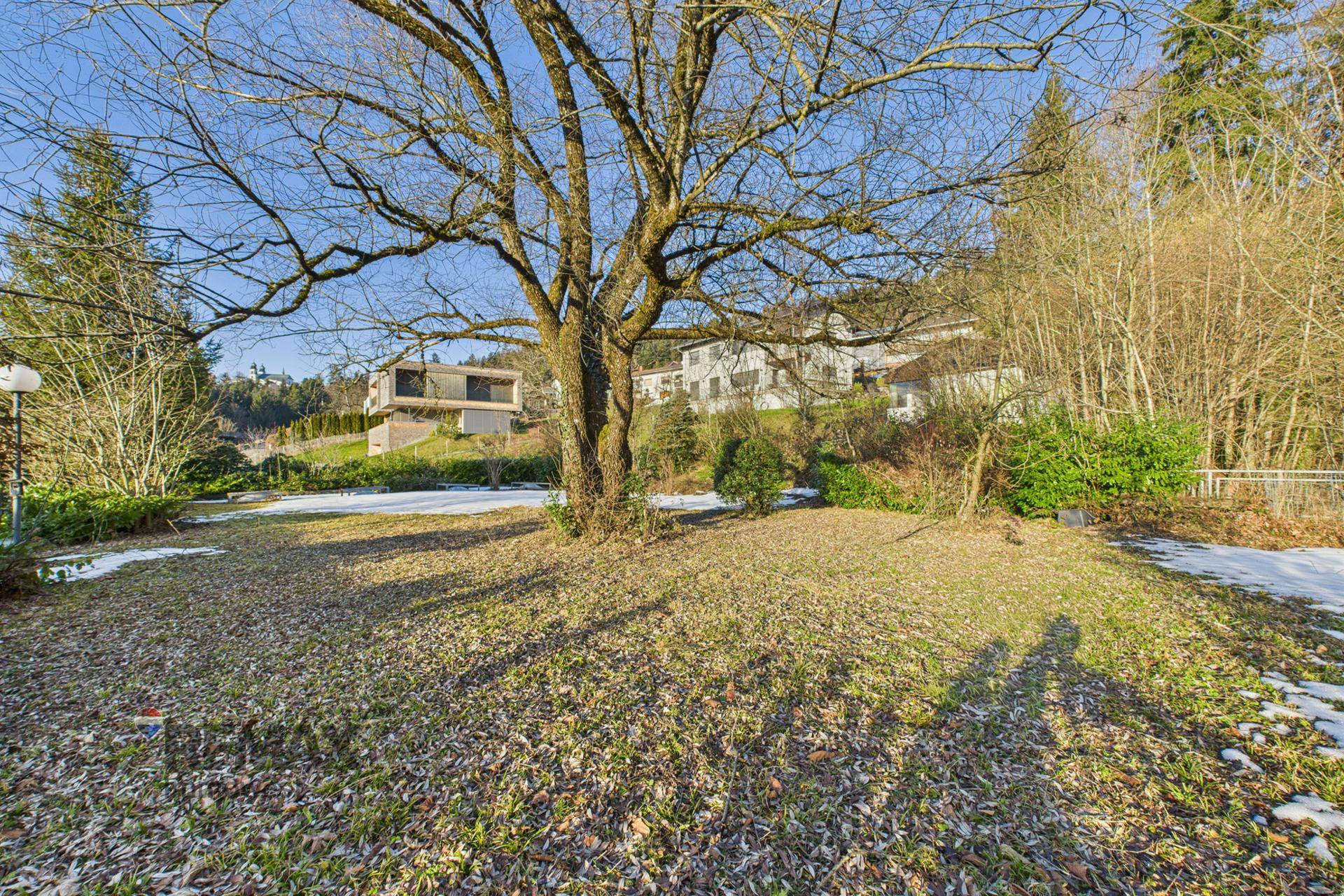 Naturbelassener Gartenbereich mit großen Bäumen, Rasen und Blick auf entfernte Häuser.