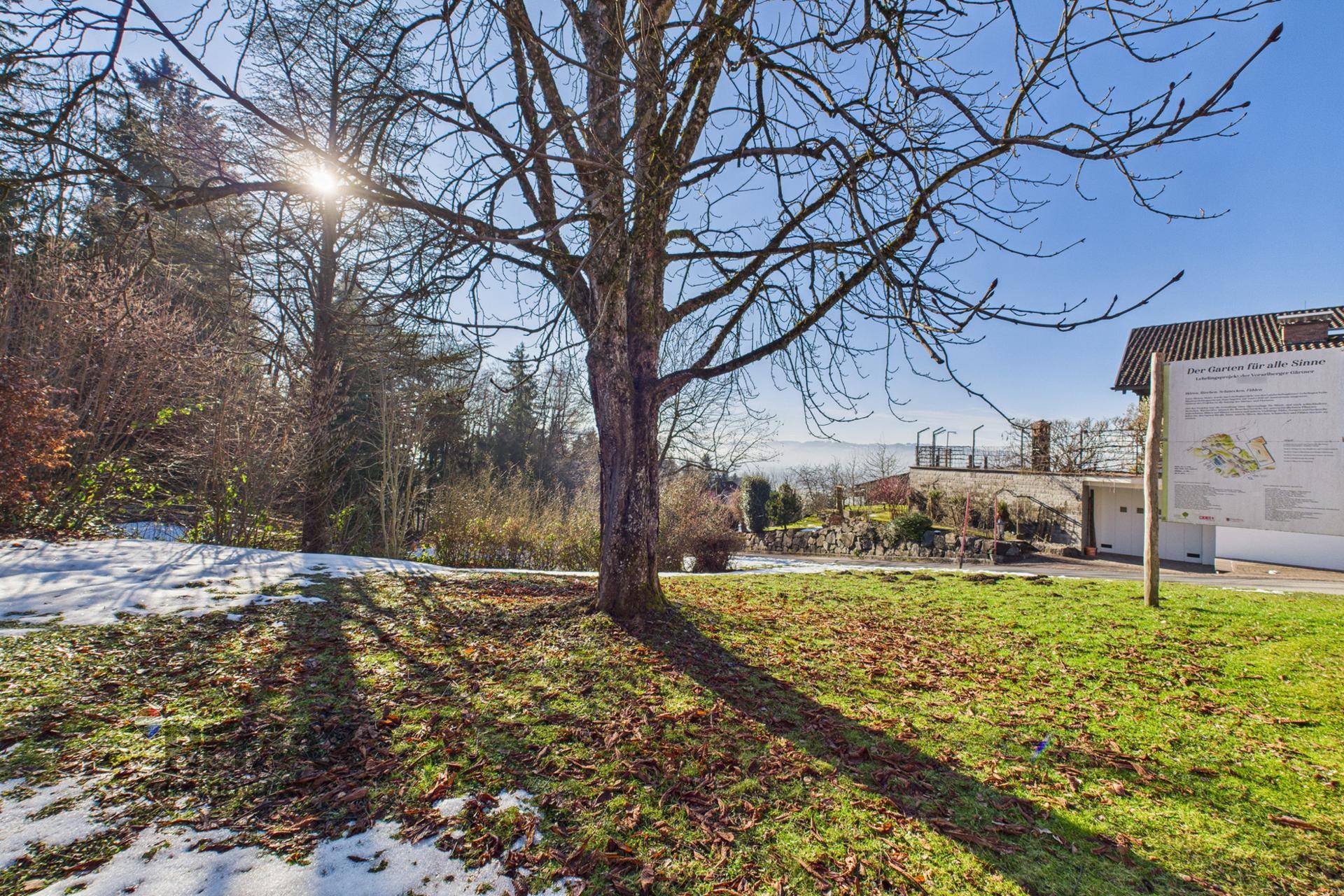 Gartenbereich mit einem großen Baum, Informationsschild und weitem Blick in die Landschaft.