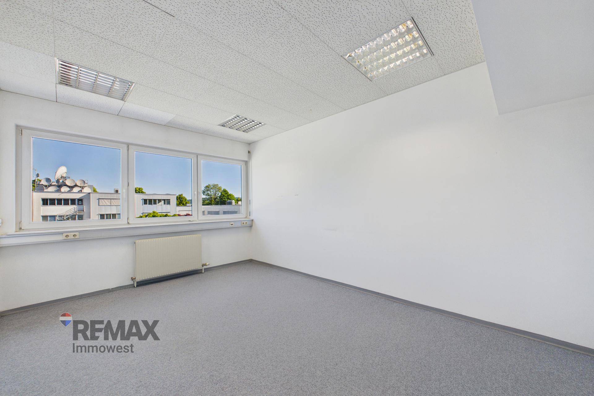 Leeres Büro mit grauem Teppichboden, großen Fenstern und Deckenbeleuchtung, bereit zur individuellen Gestaltung.