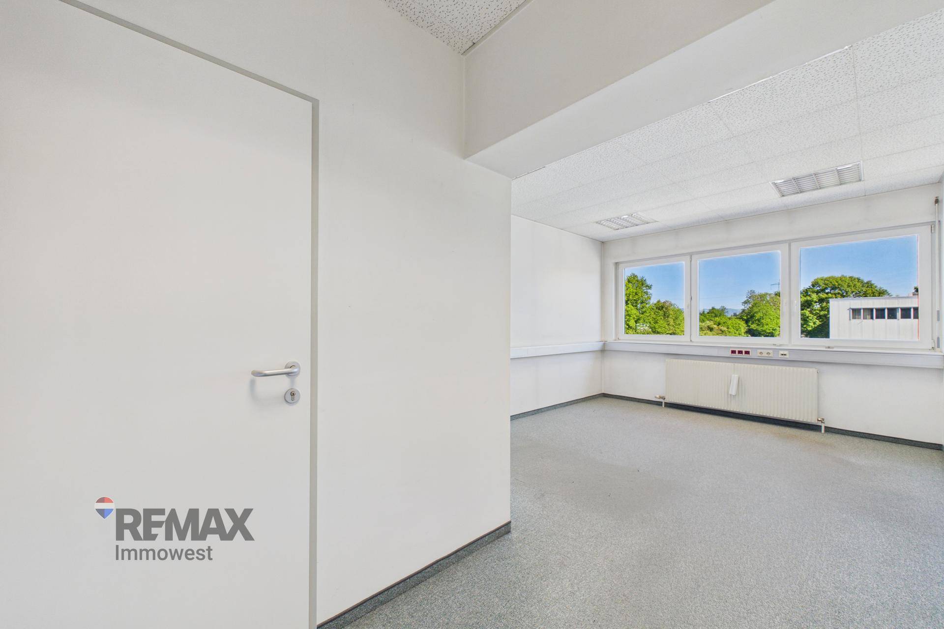 Helles Büro mit grauem Teppichboden, weißer Tür und großen Fenstern, die viel Tageslicht hereinlassen.