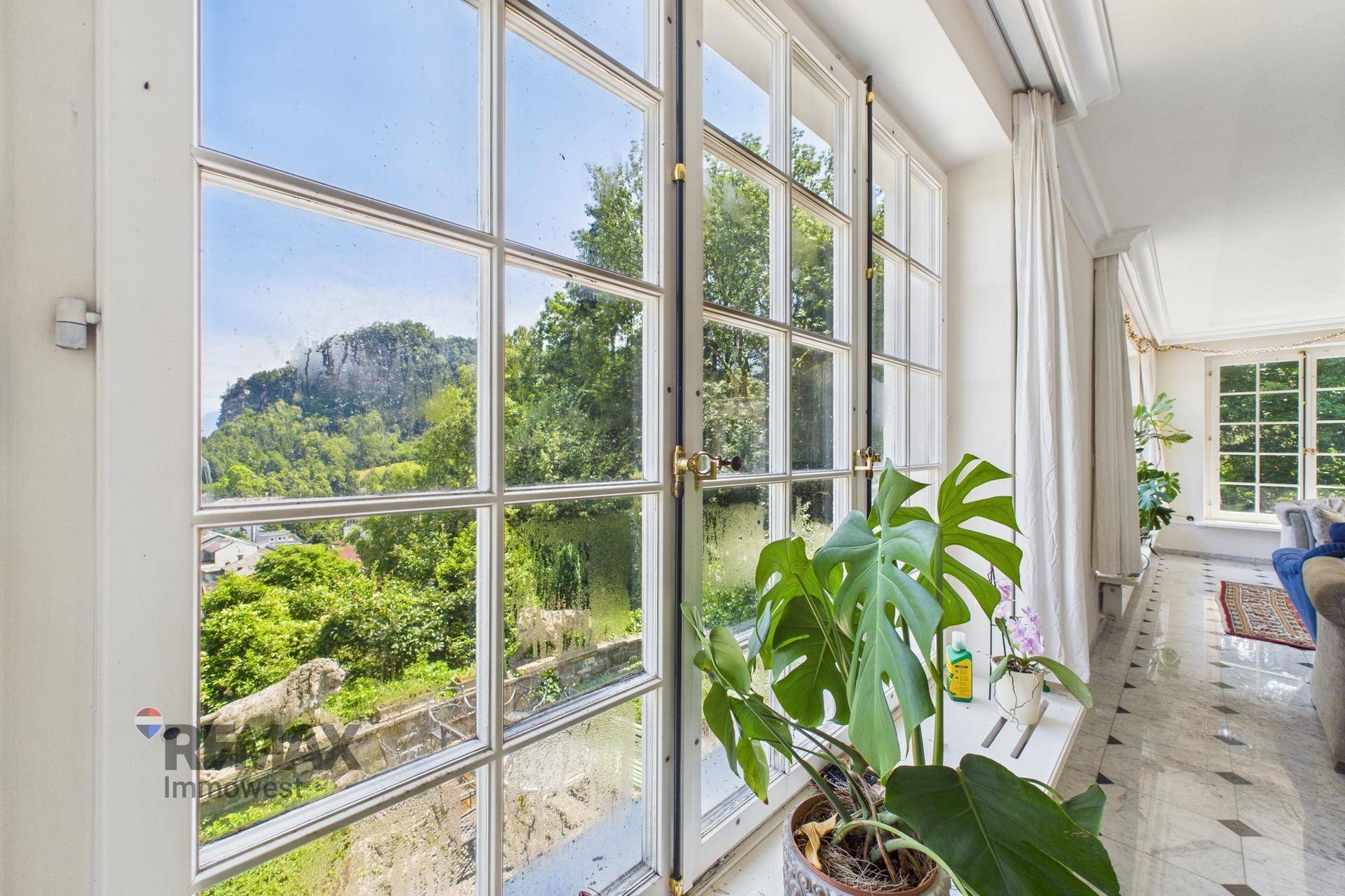 Nahaufnahme eines Fensters mit Zimmerpflanze und einem schönen Blick ins Grüne.