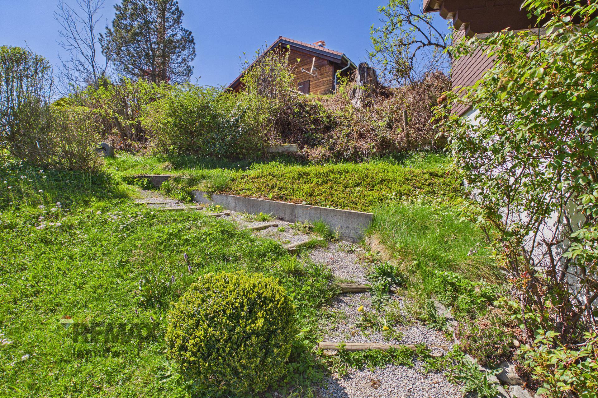 Steiler Gartenweg mit Stufen und üppigem Grün, der zum Haus hinaufführt.