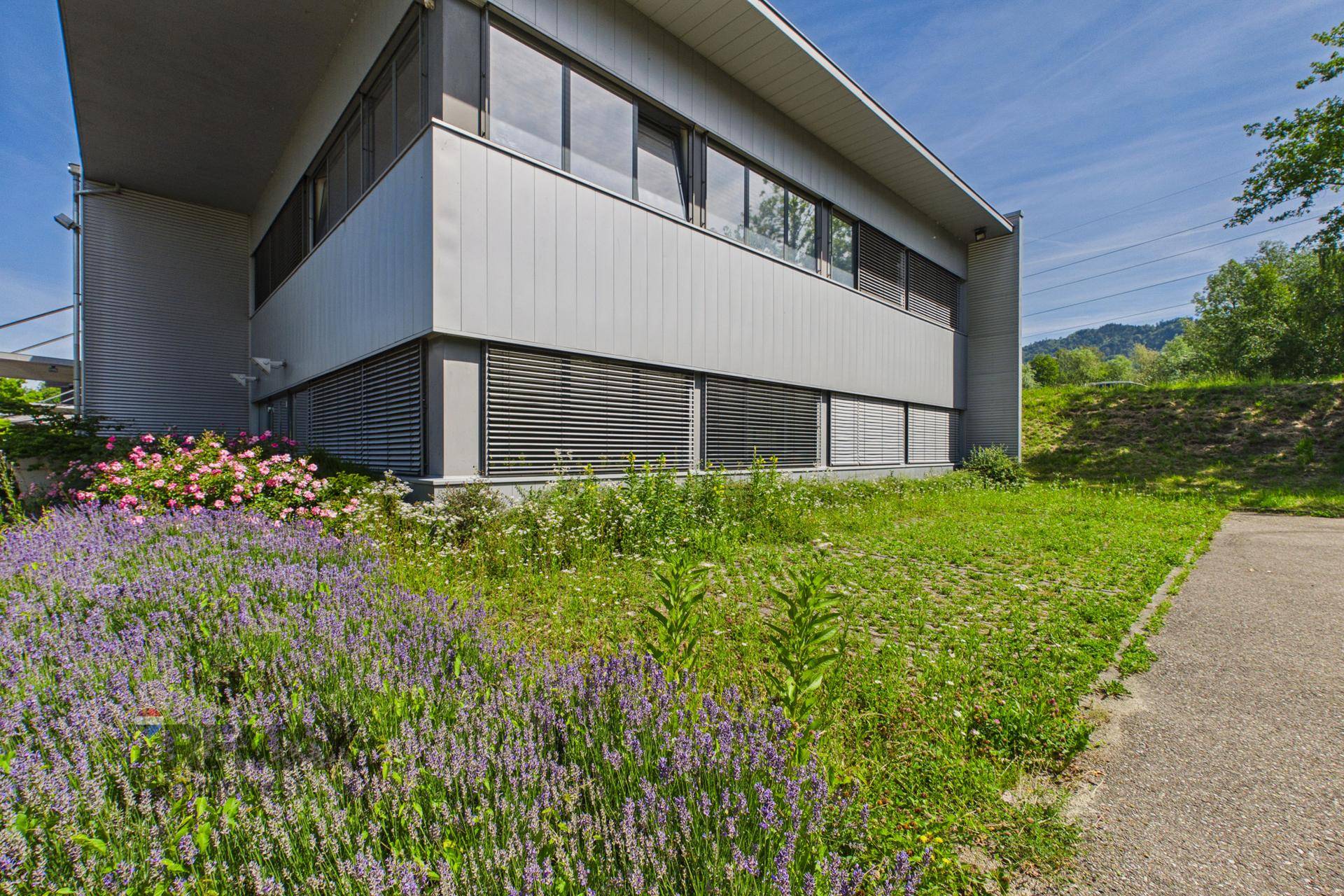 Moderne Gebäudefassade mit großen Fenstern und Außenjalousien, umgeben von blühenden Pflanzen.