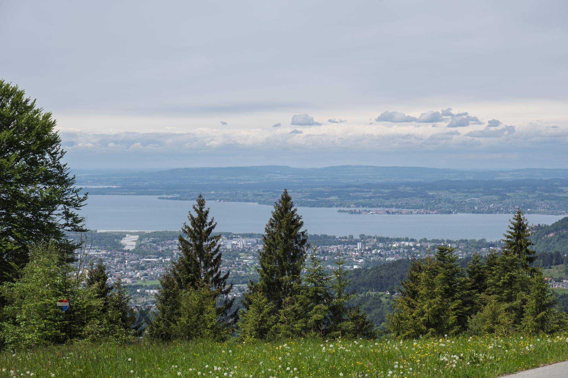 Panoramablick auf einen großen See und eine Stadt, umrahmt von Nadelbäumen und grünen Wiesen.