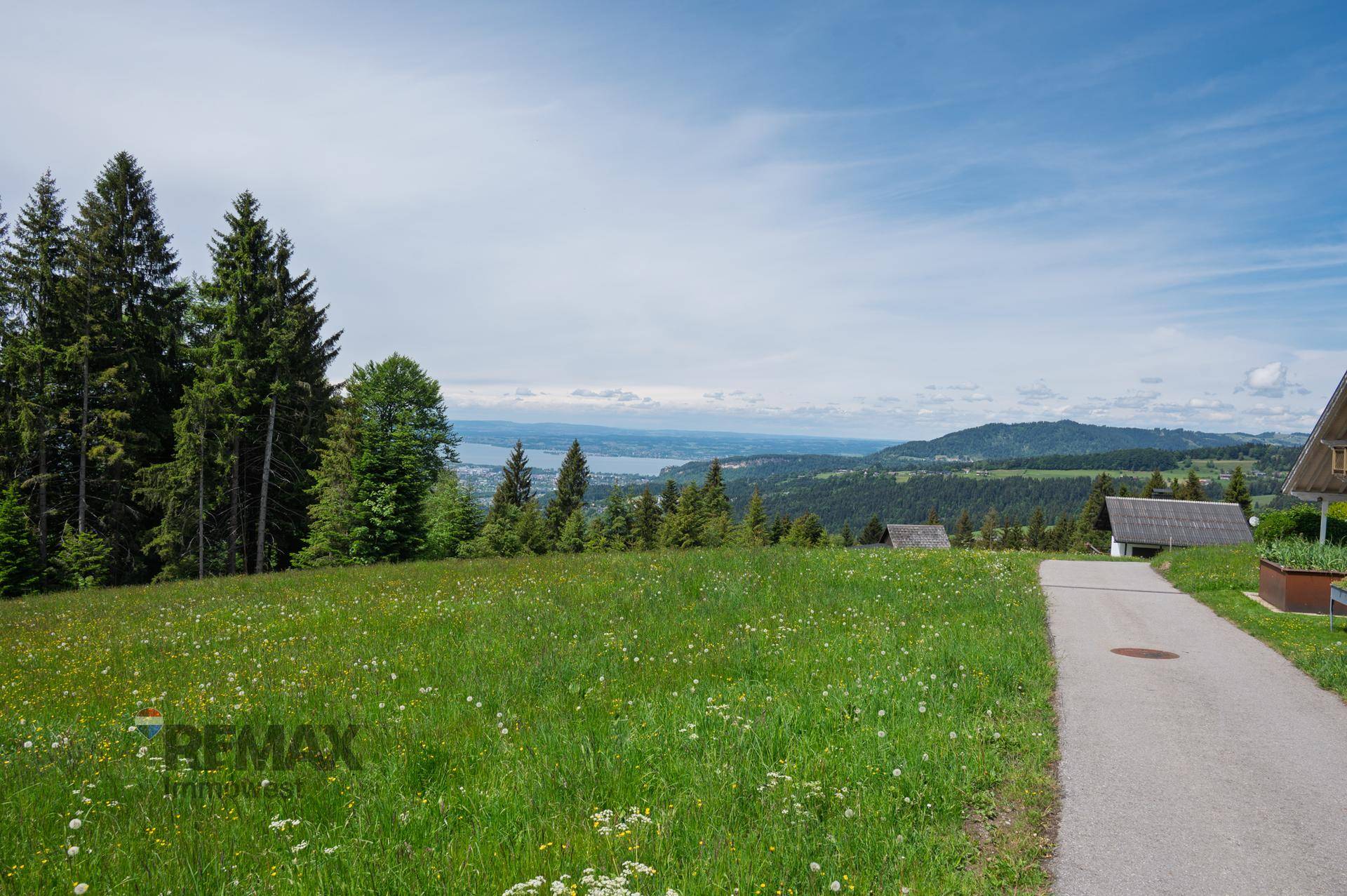 Weitläufige grüne Wiese mit einem Weg, umgeben von Bäumen und einem malerischen Seeblick in der Ferne.