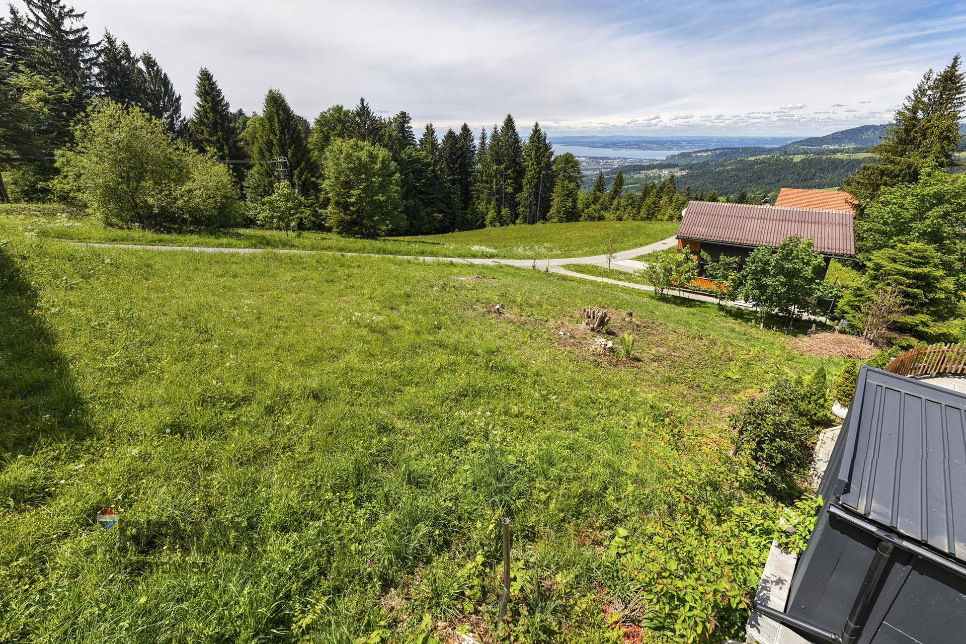 Grüne Hanglage mit Bäumen und einem Weg, im Hintergrund ist ein See und weitere Häuser sichtbar.