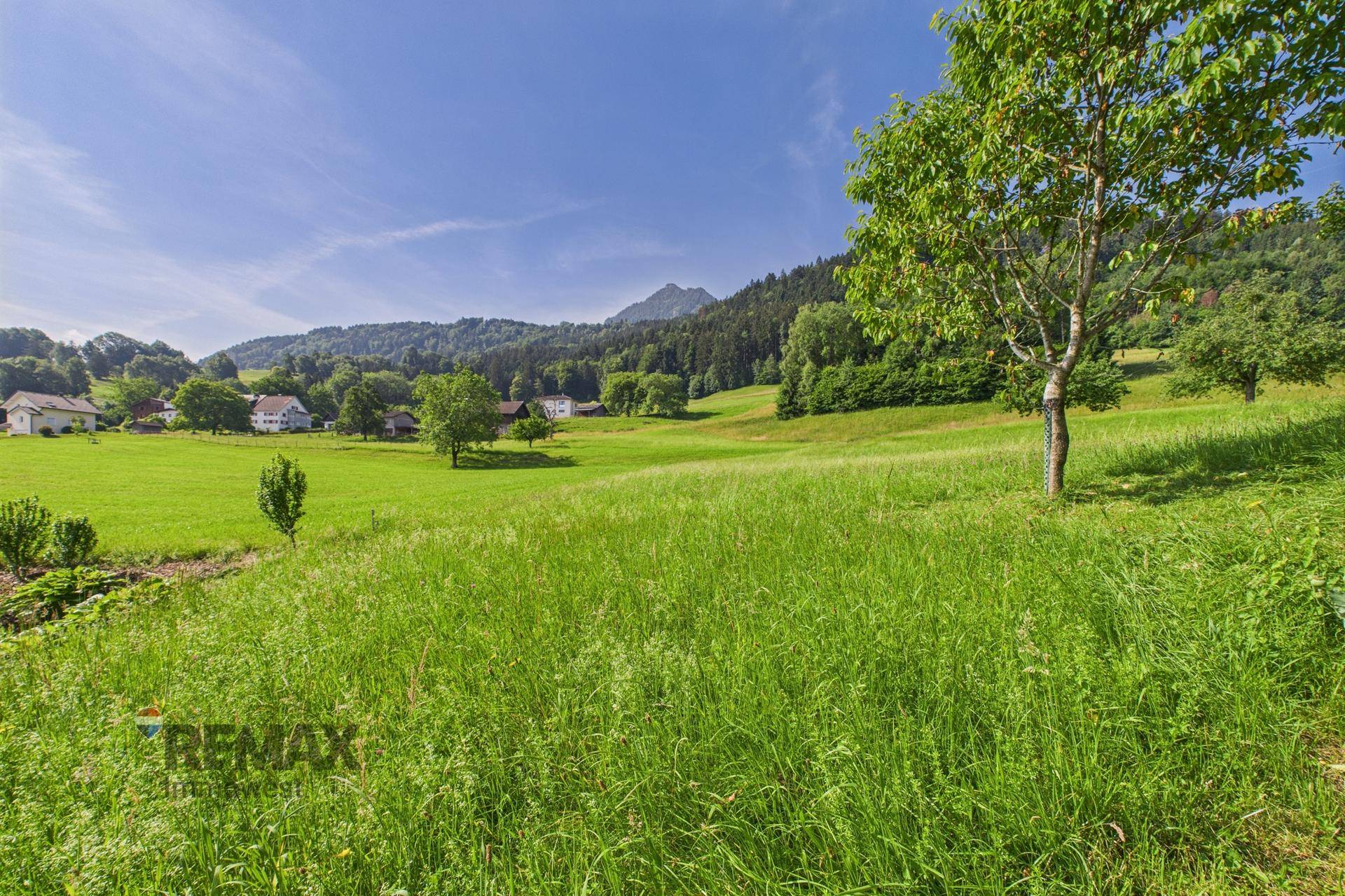 Weitläufige grüne Wiesen und Wälder umgeben das Anwesen mit Bergblick.