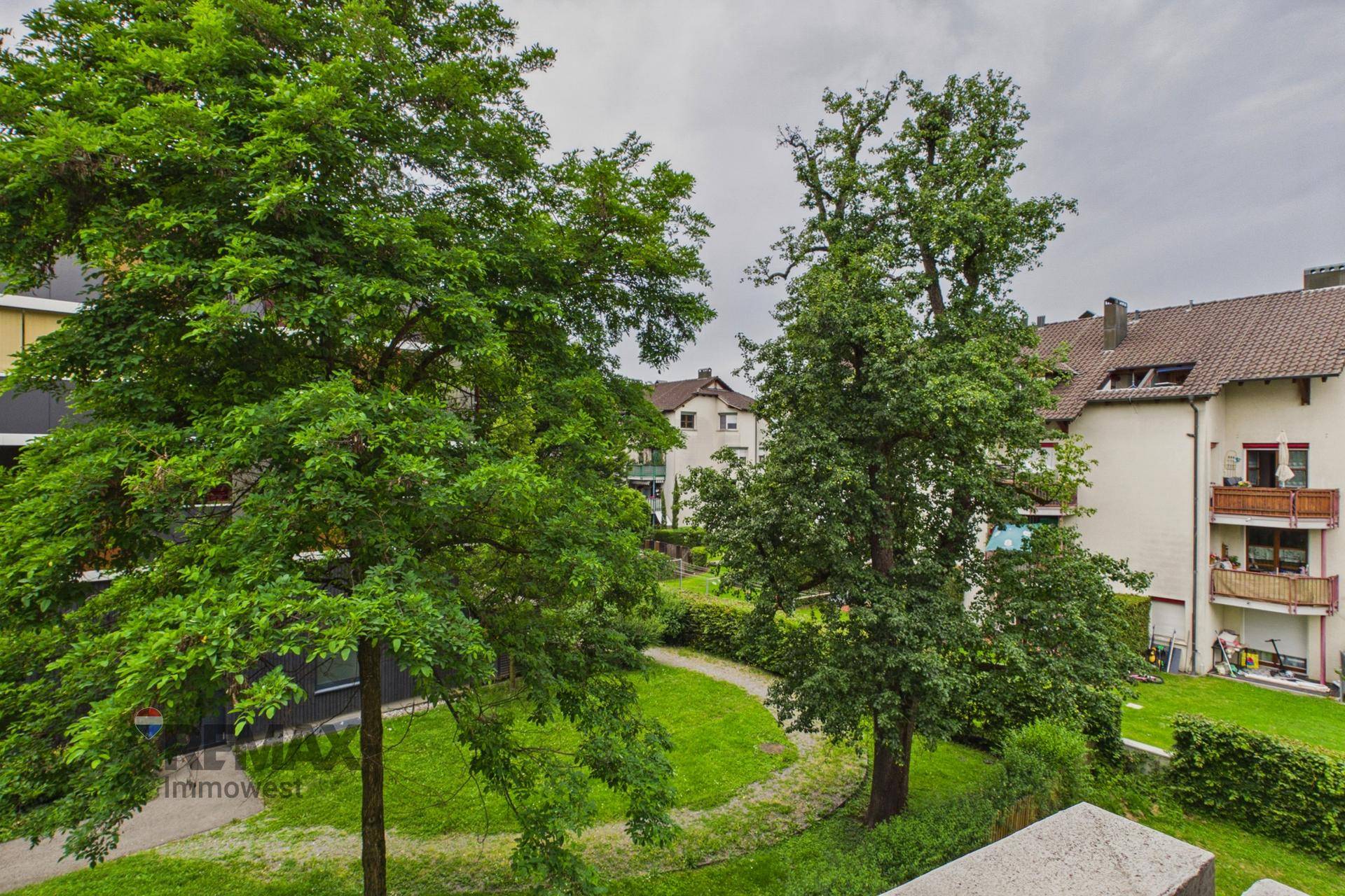 Blick auf einen grünen Innenhof mit hohen Bäumen und gepflegten Rasenflächen.