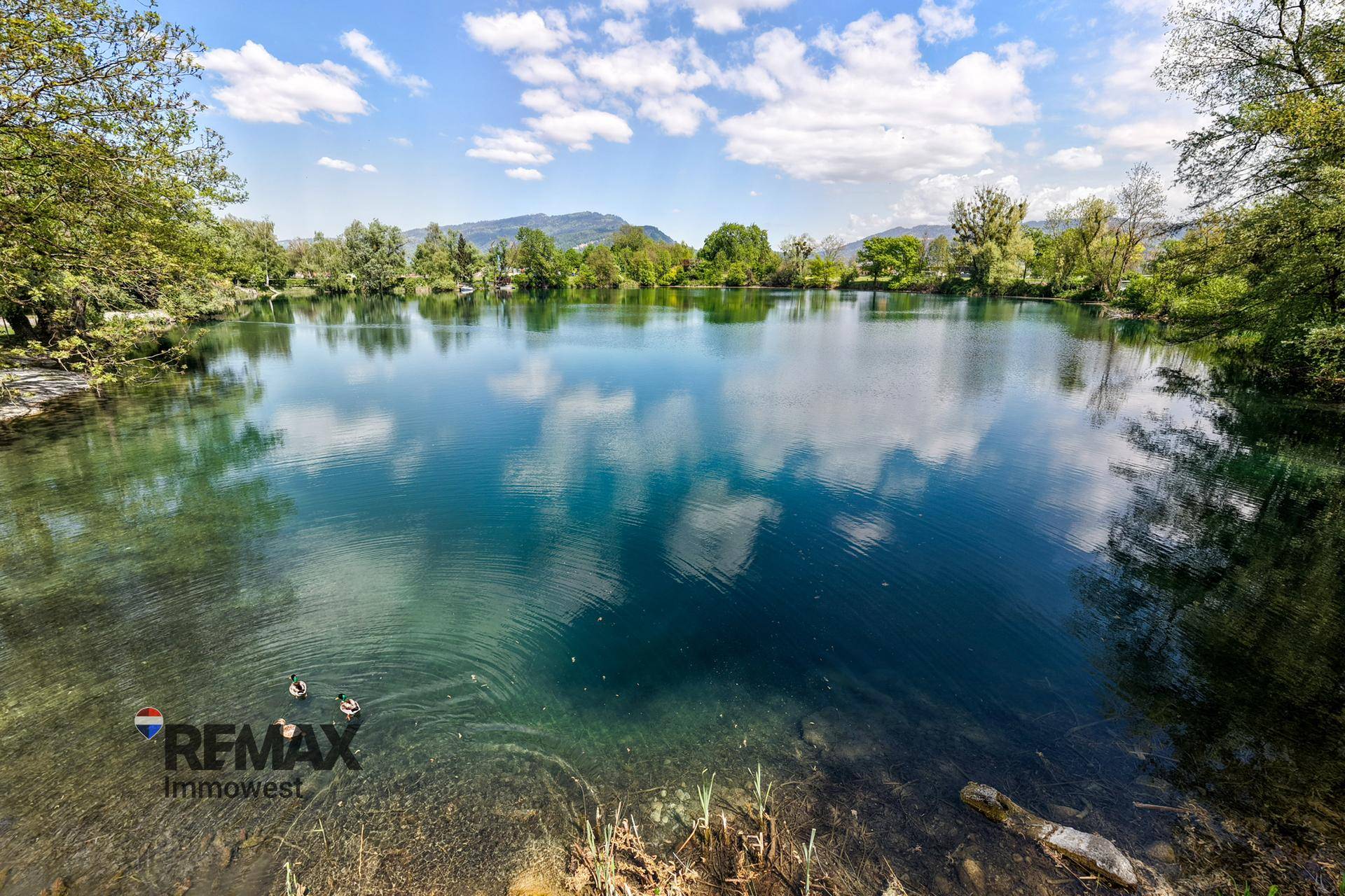 Malerischer See mit klarem Wasser und Enten, umgeben von üppiger Vegetation und Bergen im Hintergrund.