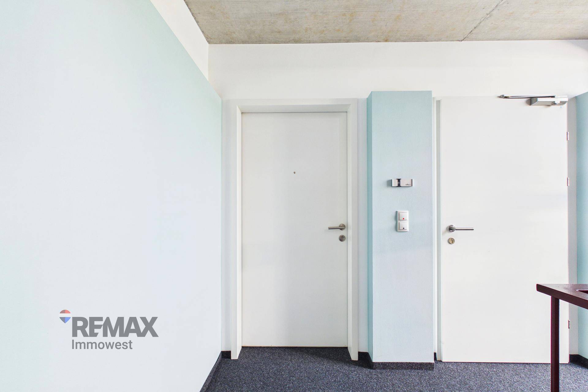 Moderner Flur mit blauer Akzentwand, weißen Türen und Teppichboden.