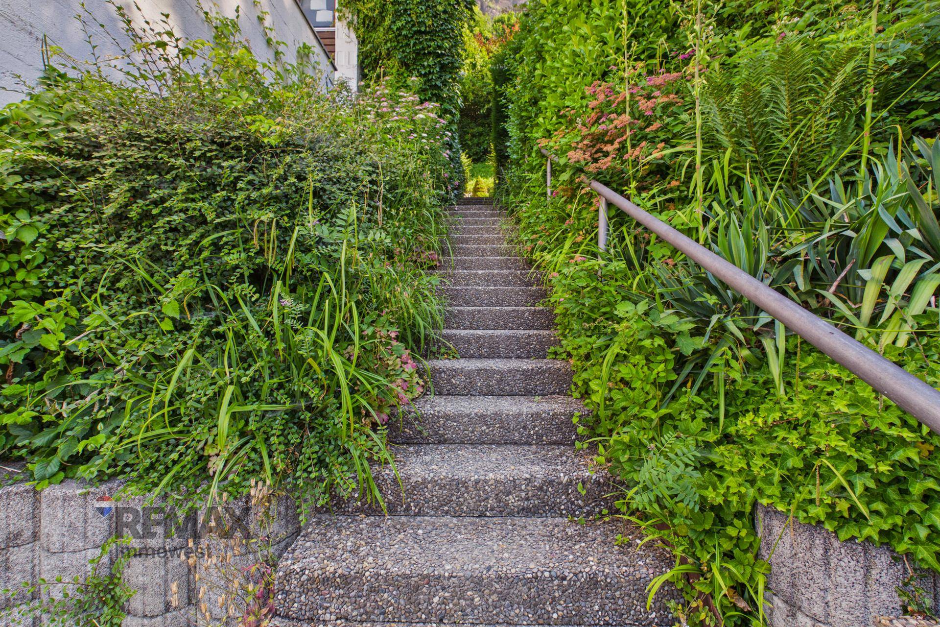Steintreppe im Freien, umgeben von üppigem Grün und dichter Vegetation.