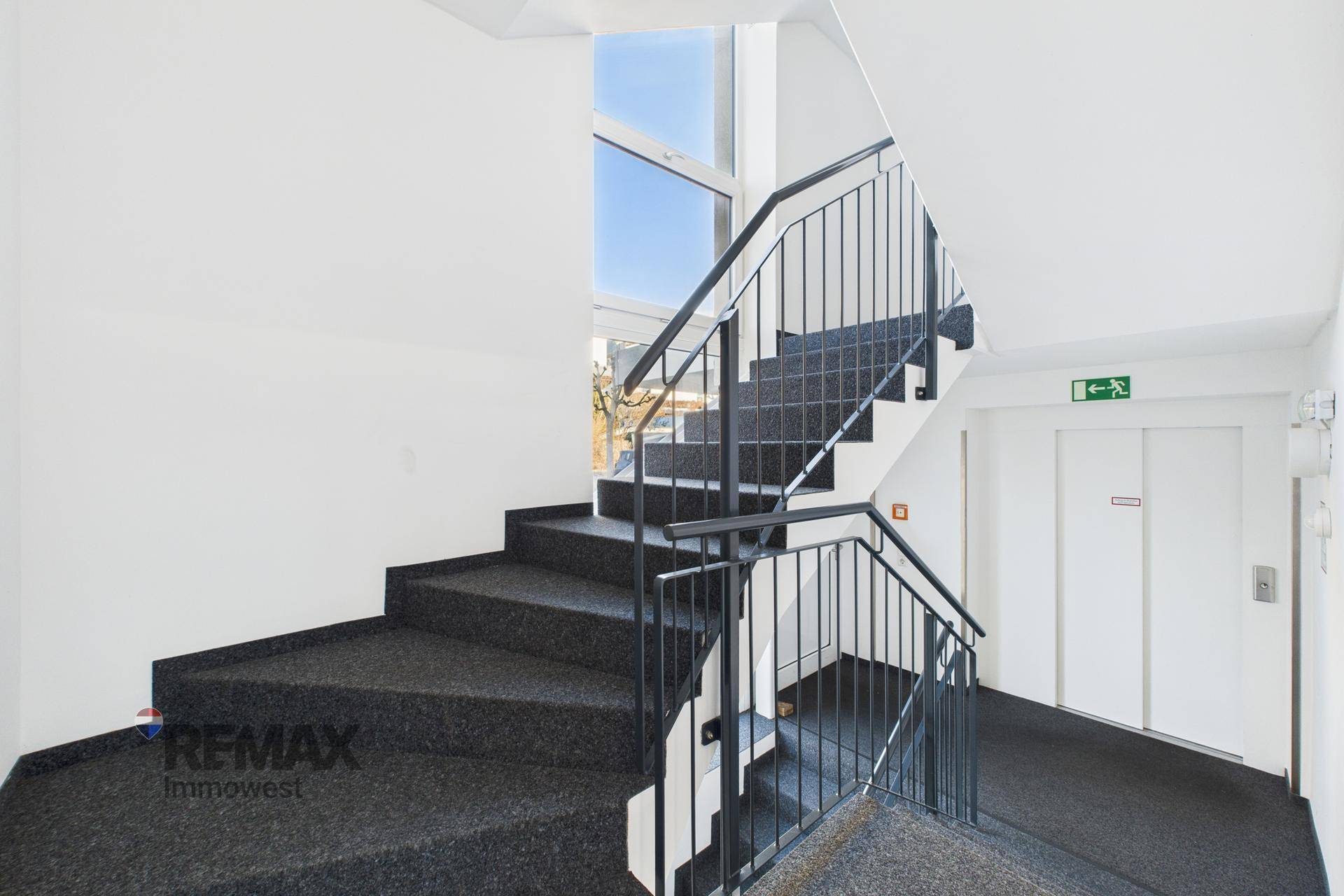 Treppenhaus mit Teppichboden, Metallgeländer und einer Rampe für Barrierefreiheit.