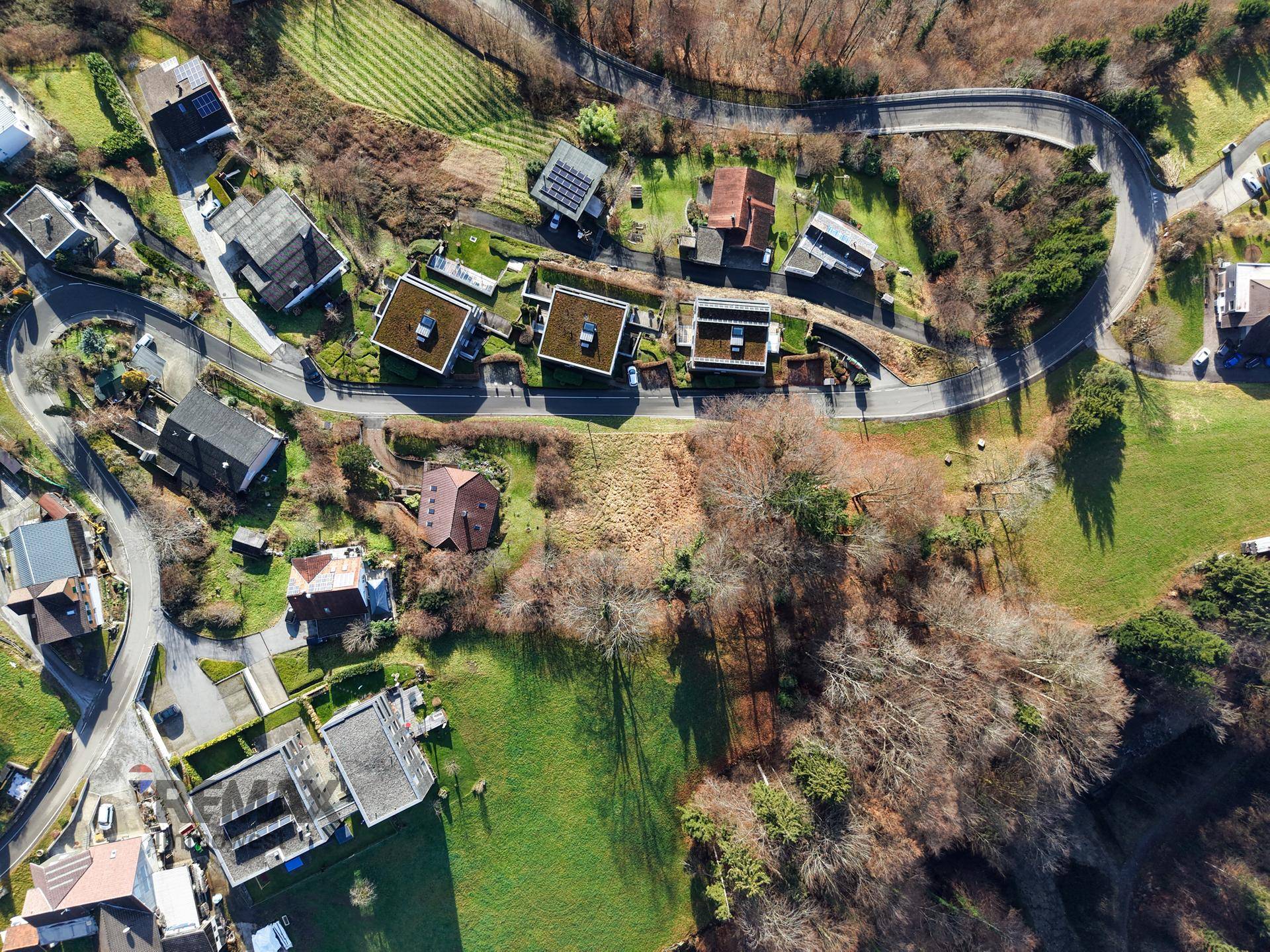Senkrechte Luftaufnahme einer kurvenreichen Straße, umgeben von Wohnhäusern mit Gründächern und Wald.