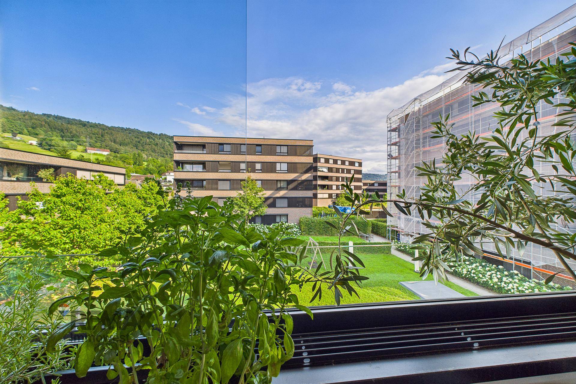 Sonniger Balkon mit Pflanzen und weitem Blick auf die umliegende Bebauung und Natur.