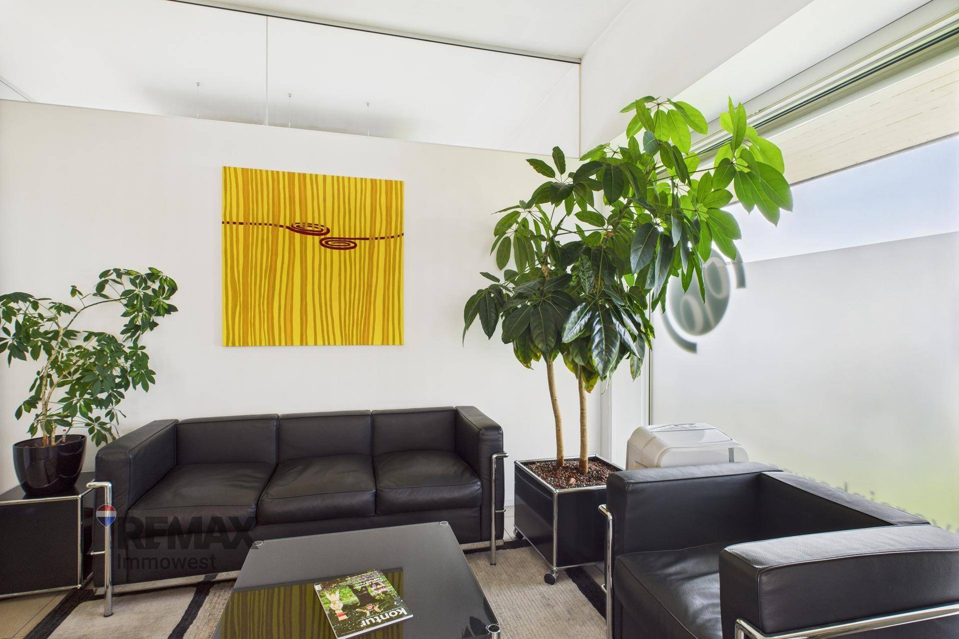 Gemütlicher Wartebereich mit schwarzen Ledersofas, einem Couchtisch und dekorativen Pflanzen.