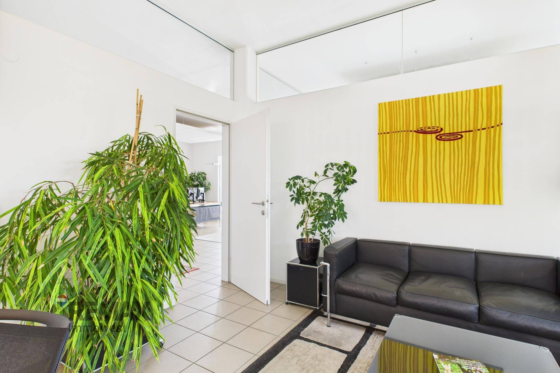 Heller Lounge-Bereich mit bequemen Sofas, großen Pflanzen und einem offenen Durchgang zu weiteren Räumen.