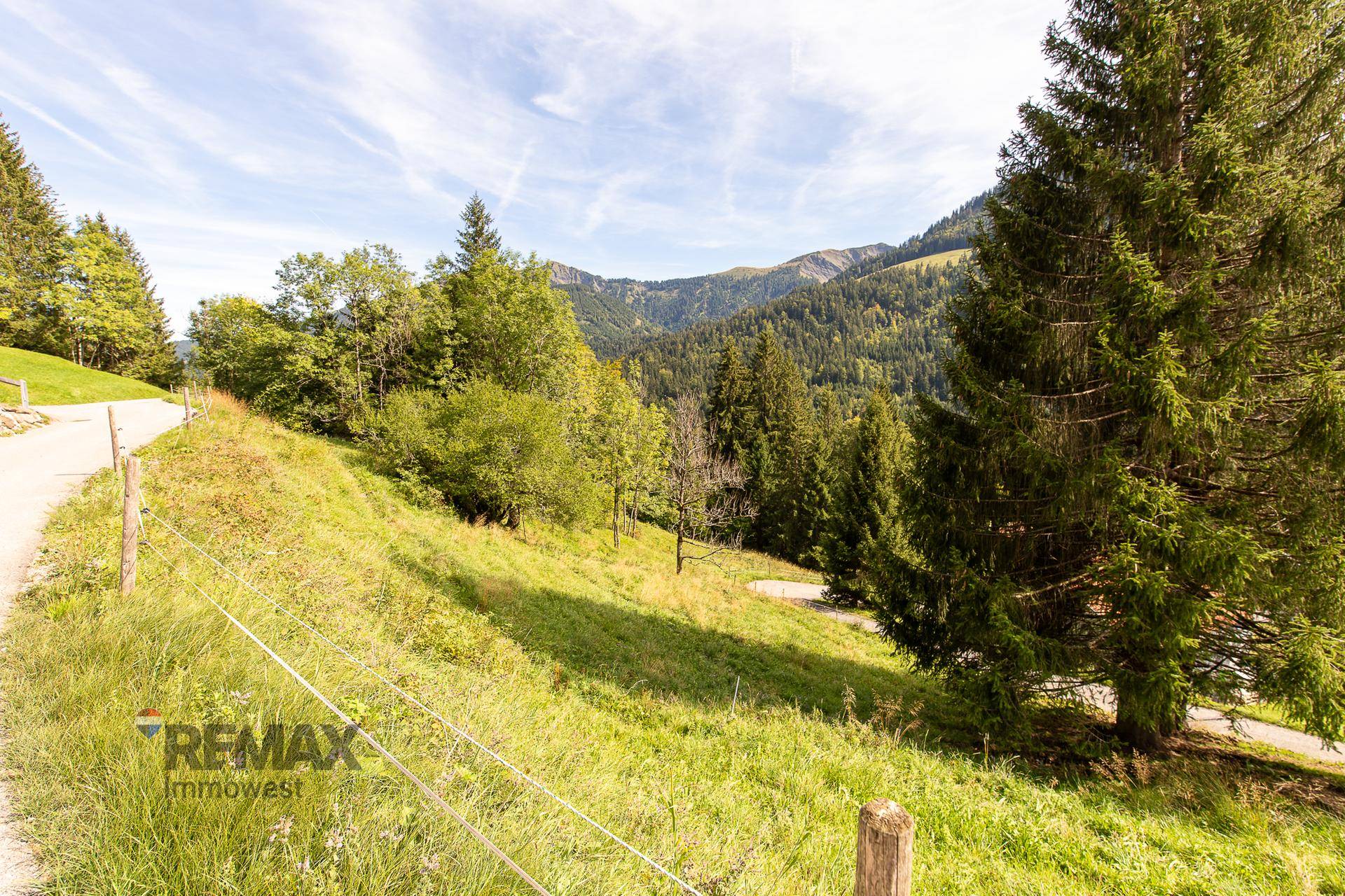 Idyllische Berglandschaft mit üppiger Vegetation und einem schmalen Weg im Vordergrund.