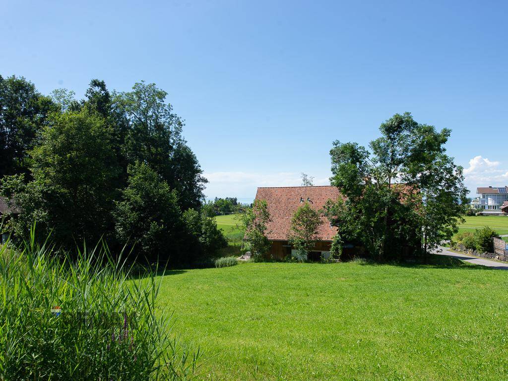Ruhige ländliche Szene mit einem traditionellen Haus, umgeben von grünen Wiesen und Bäumen.