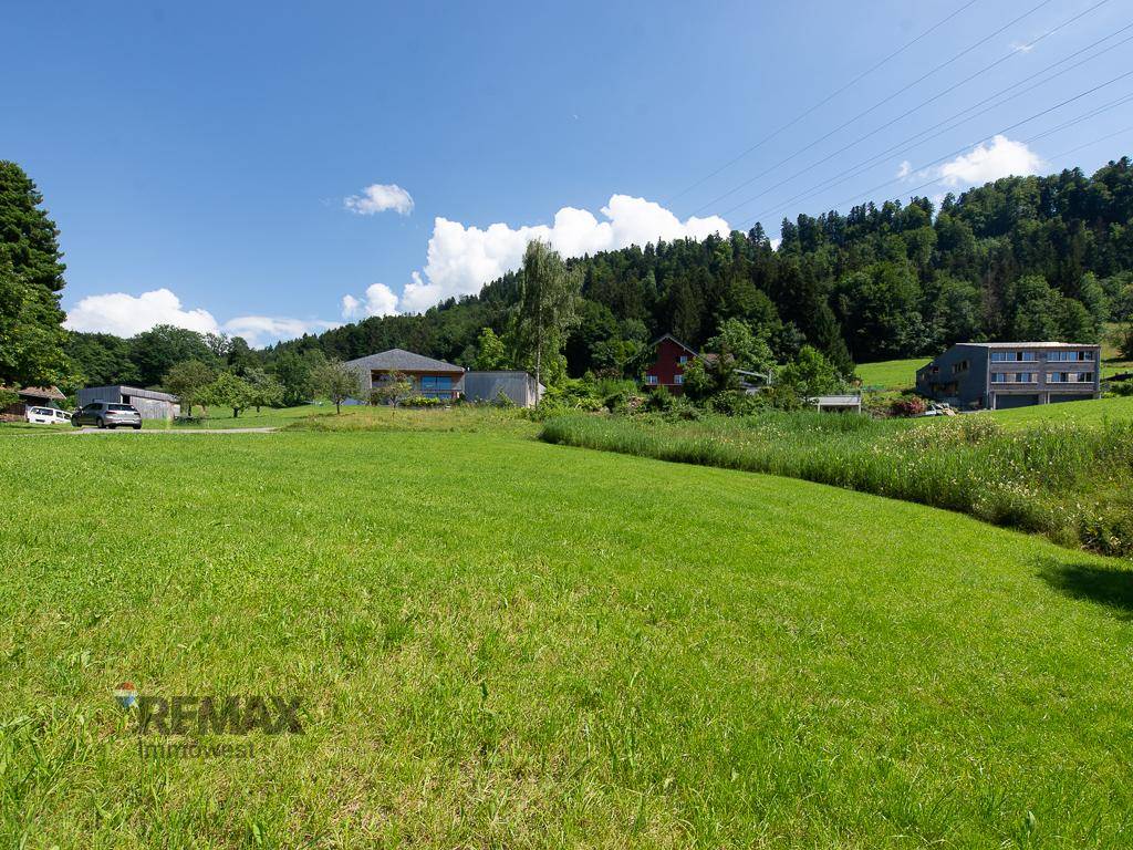 Panoramablick über eine ausgedehnte grüne Landschaft mit Häusern am Fuße eines bewaldeten Hügels.