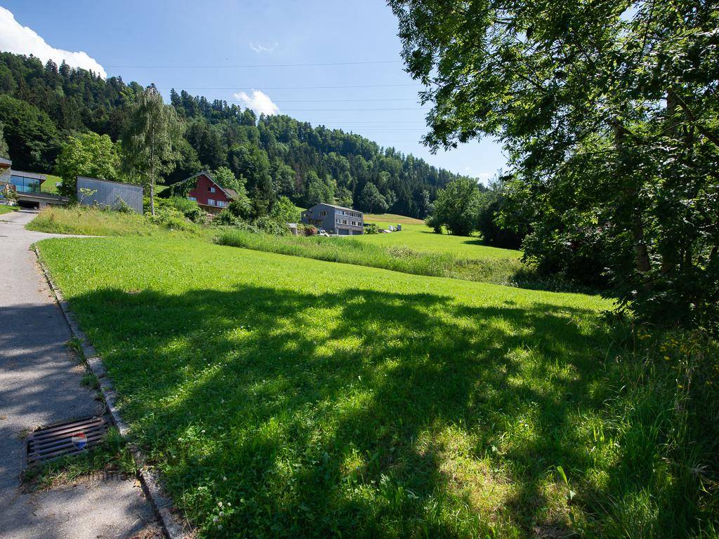 Ländliche Straße führt entlang einer grünen Wiese mit Blick auf Häuser am bewaldeten Hang.