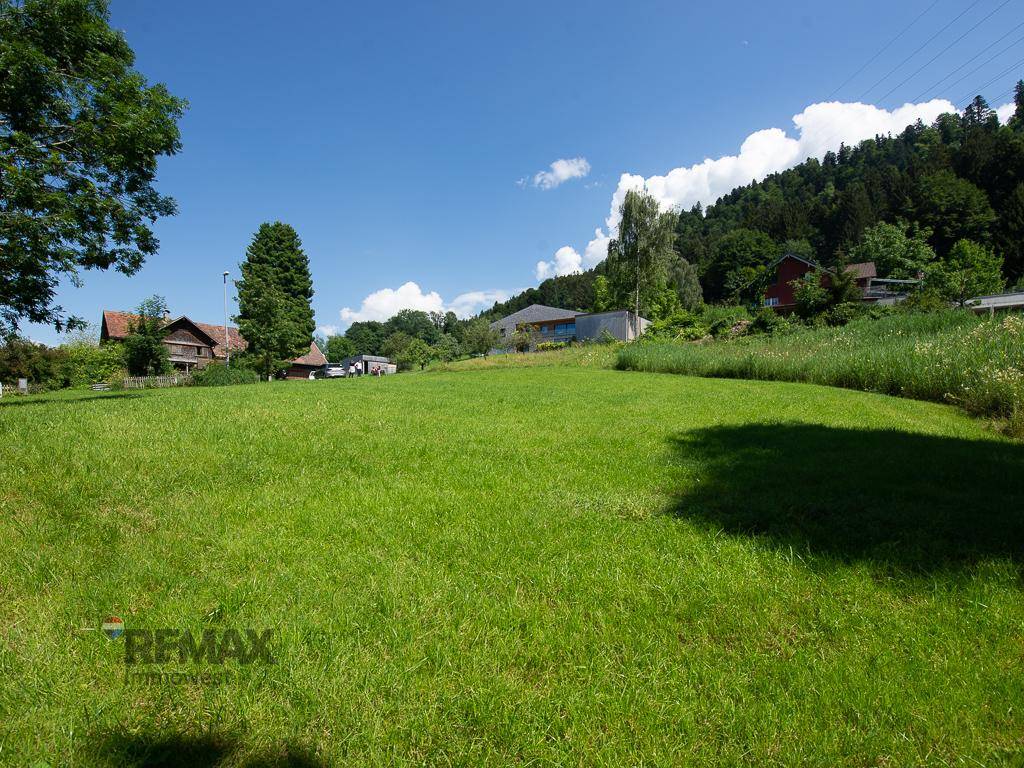 Weite grüne Wiese mit Blick auf bewaldete Hügel und vereinzelte Häuser in der Ferne.