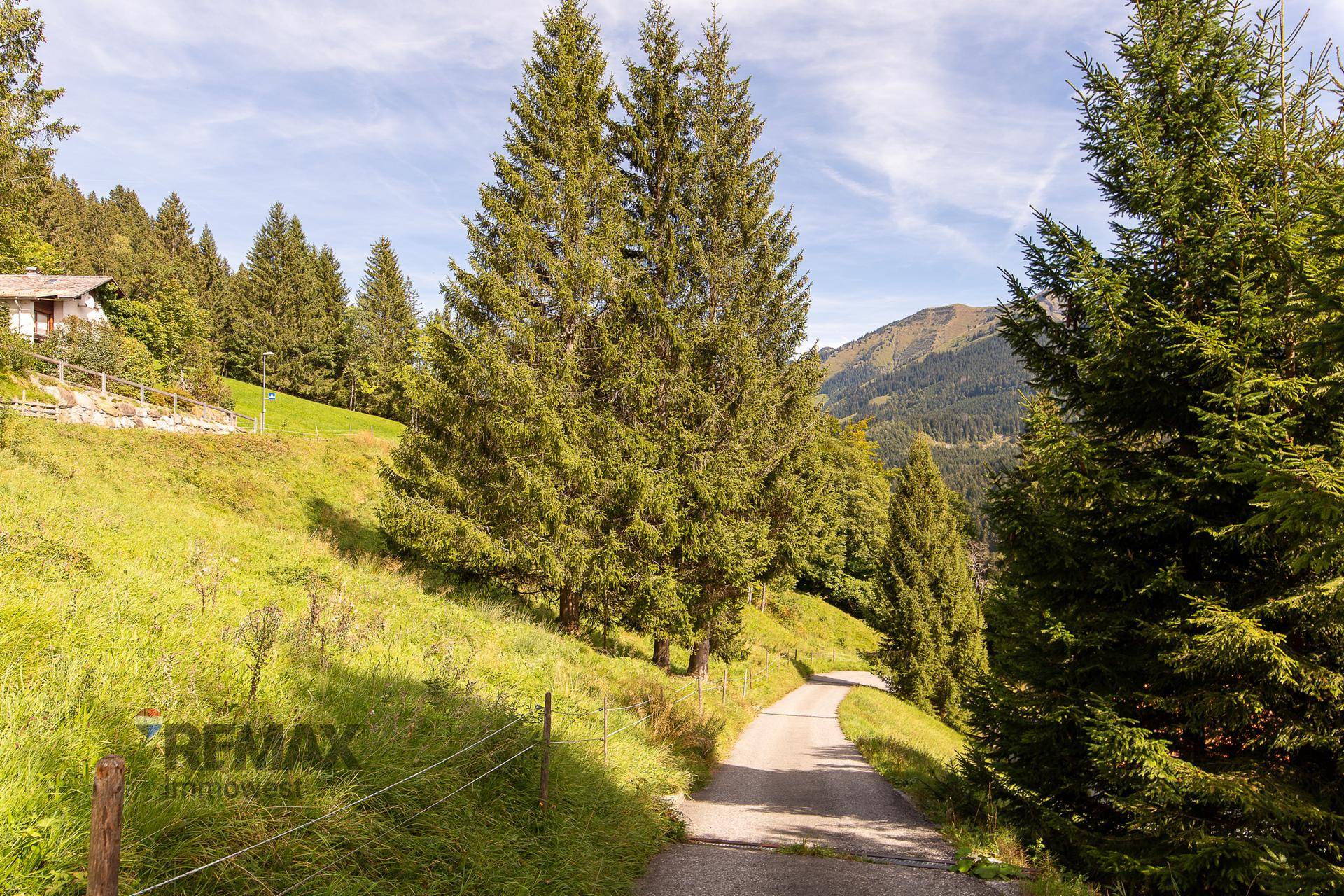 Kurviger Weg durch eine malerische Berglandschaft mit hohen Bäumen und einem Haus am Hang.