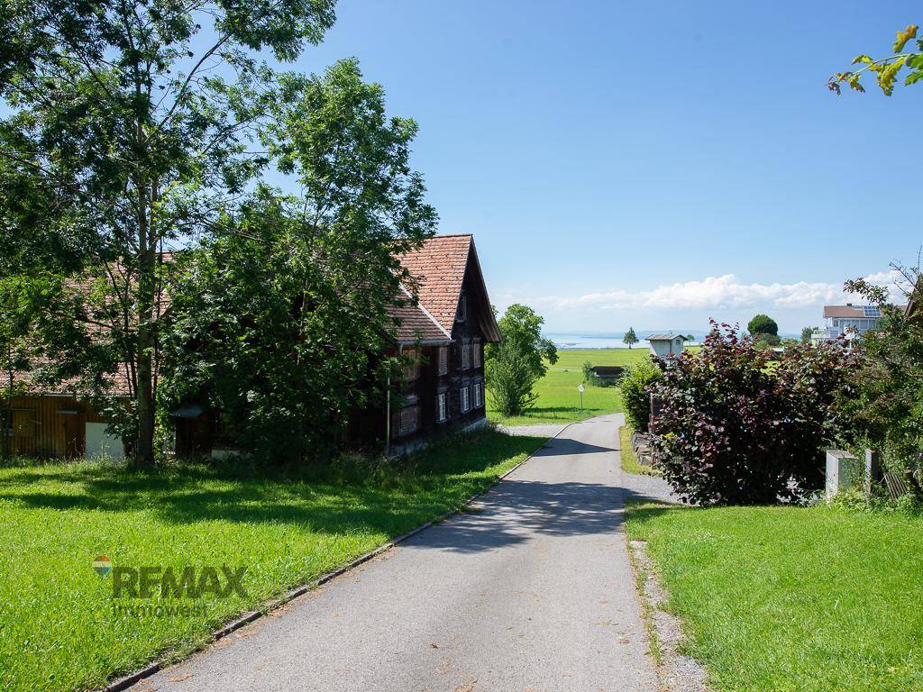 Schmaler Weg führt durch grüne Landschaft zu einem See in der Ferne, umgeben von Bäumen.