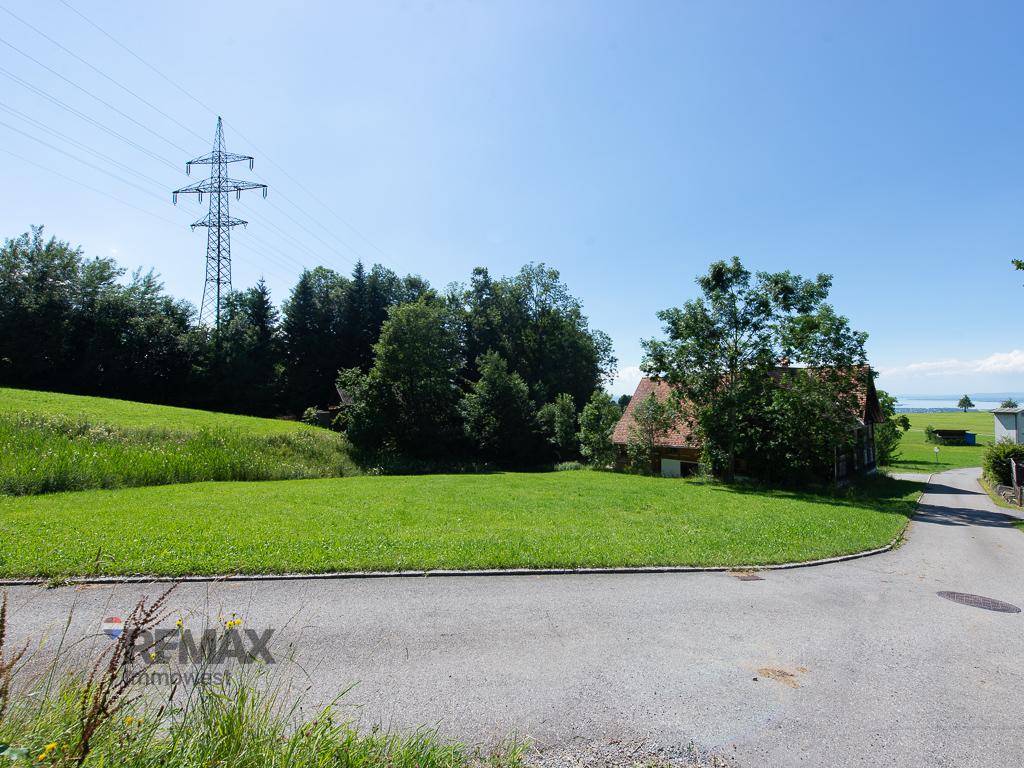 Weitläufige grüne Landschaft mit einem Haus im Hintergrund und einem Strommast unter blauem Himmel.
