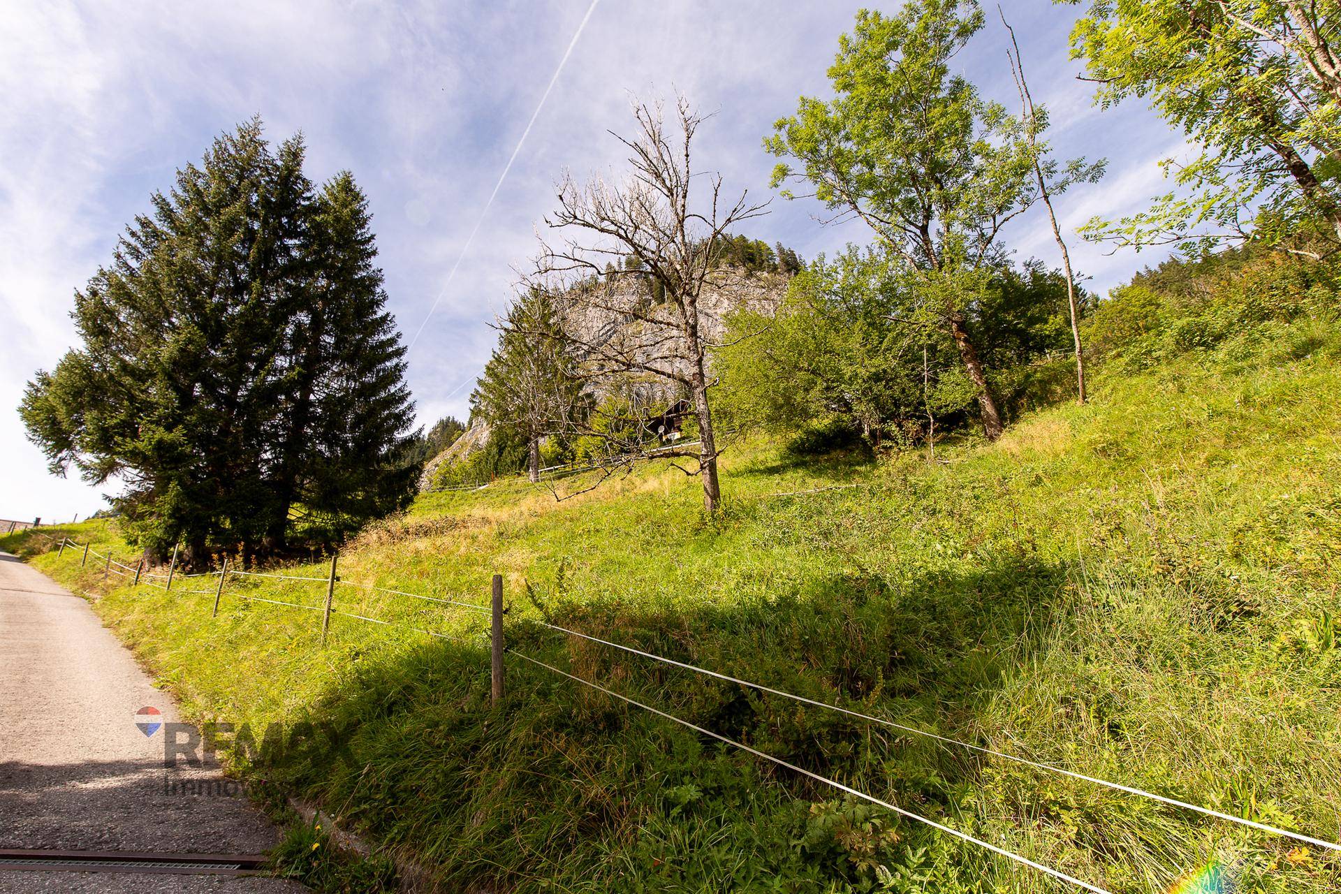 Grüner Hang mit Bäumen und einer felsigen Erhebung unter einem klaren Himmel.