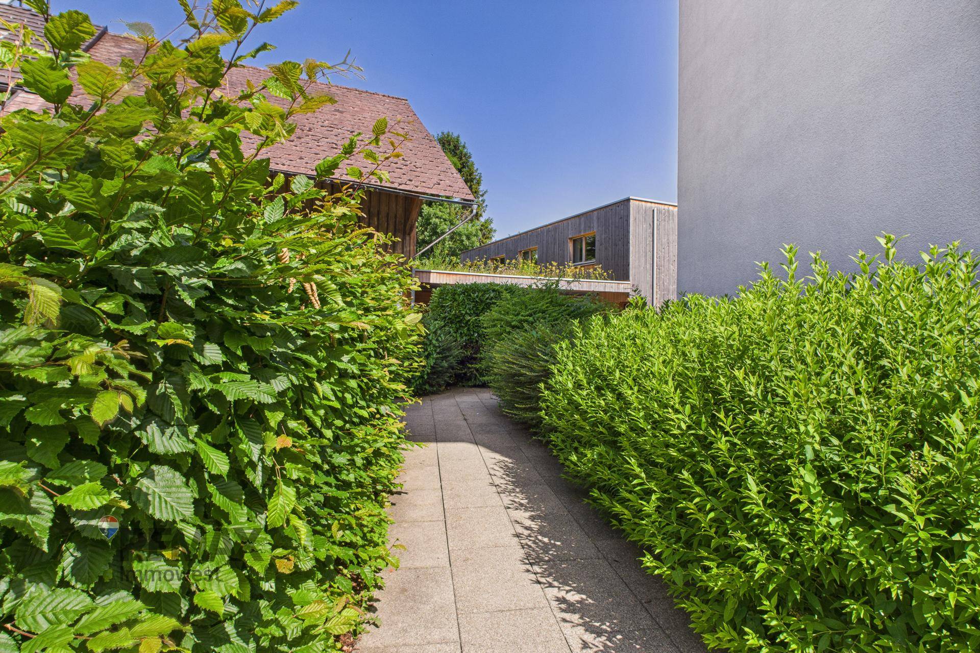 Gepflegter Gartenweg zwischen hohen Hecken mit Blick auf das Gebäude.