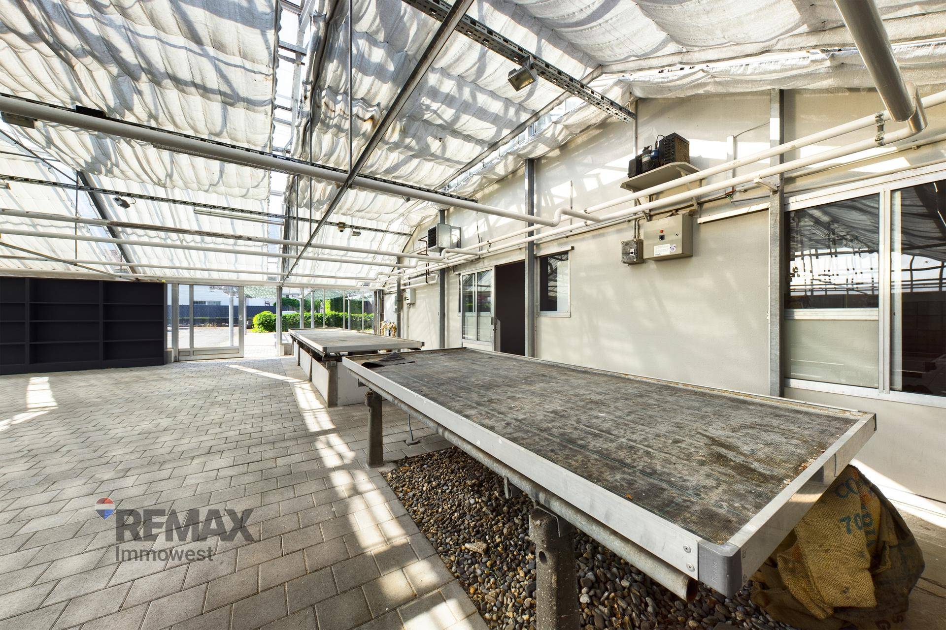 Geräumiger Gewächshausbereich mit Arbeitstischen und viel natürlichem Licht.