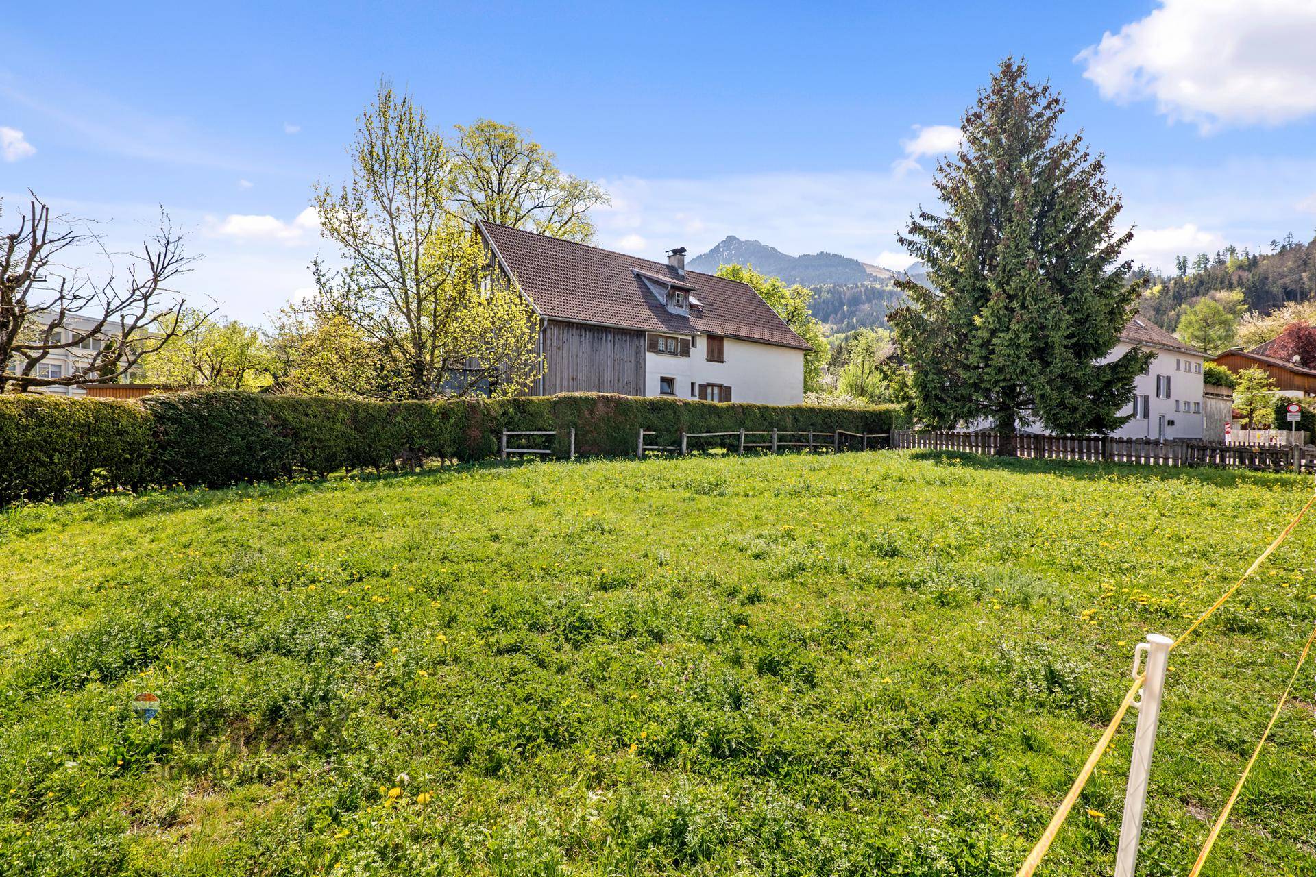 Weitläufige grüne Wiese mit einer Hecke im Hintergrund und einem traditionellen Haus unter blauem Himmel.