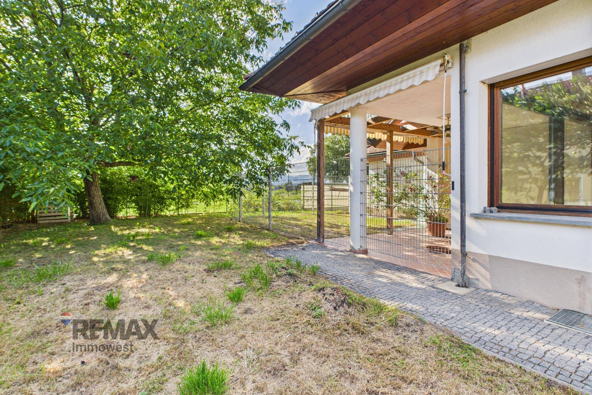 Grüner Gartenbereich mit großem Baum und überdachter Terrasse im Hintergrund.