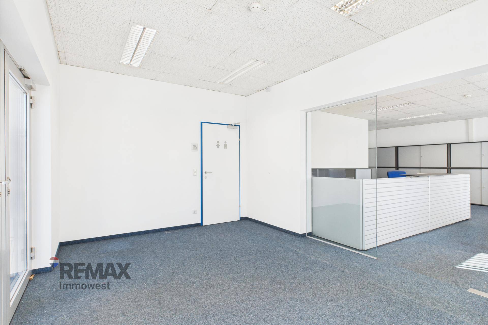 Helles Büro mit blauem Teppichboden, weißen Wänden und einer Glastrennwand zu einem weiteren Bereich.