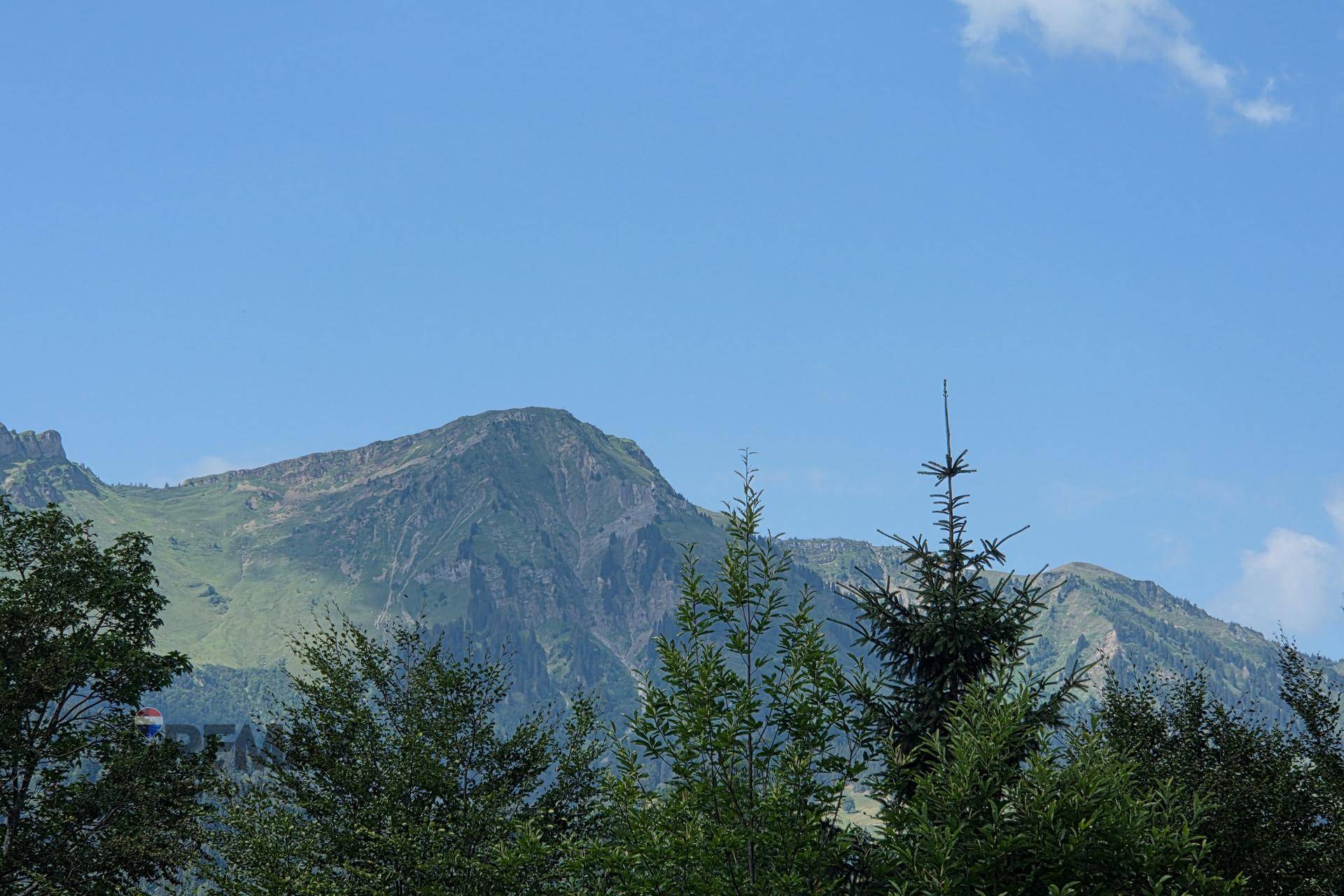 Ausblick