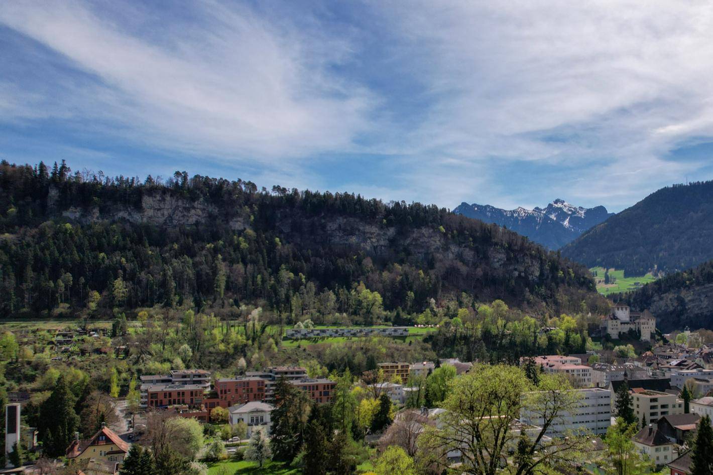 Weitläufiger Blick über eine grüne Stadtlandschaft mit bewaldeten Hügeln und schneebedeckten Bergen im Hintergrund.