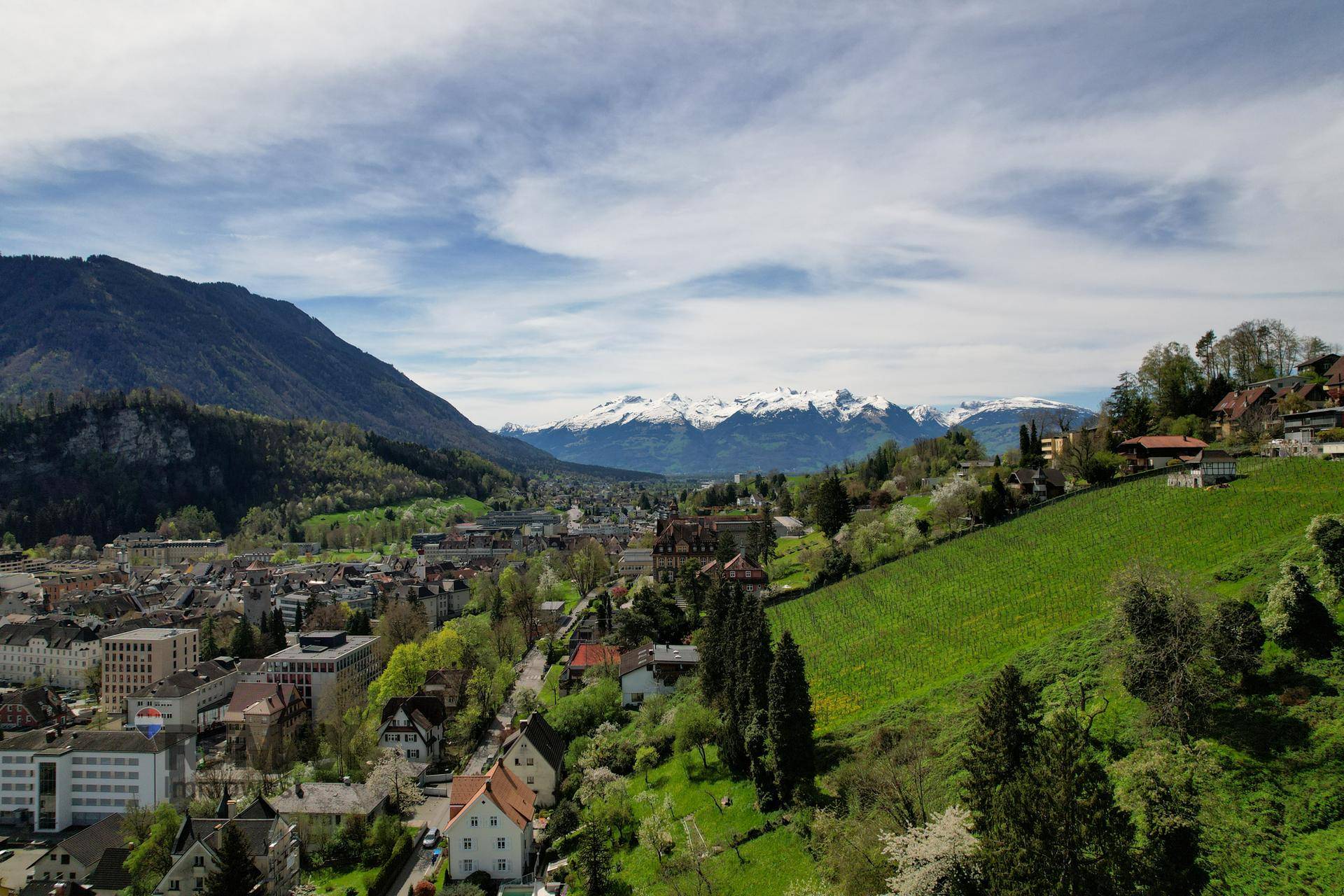 Panoramablick auf eine Stadt mit Weinbergen am Hang und schneebedeckten Bergen in der Ferne.